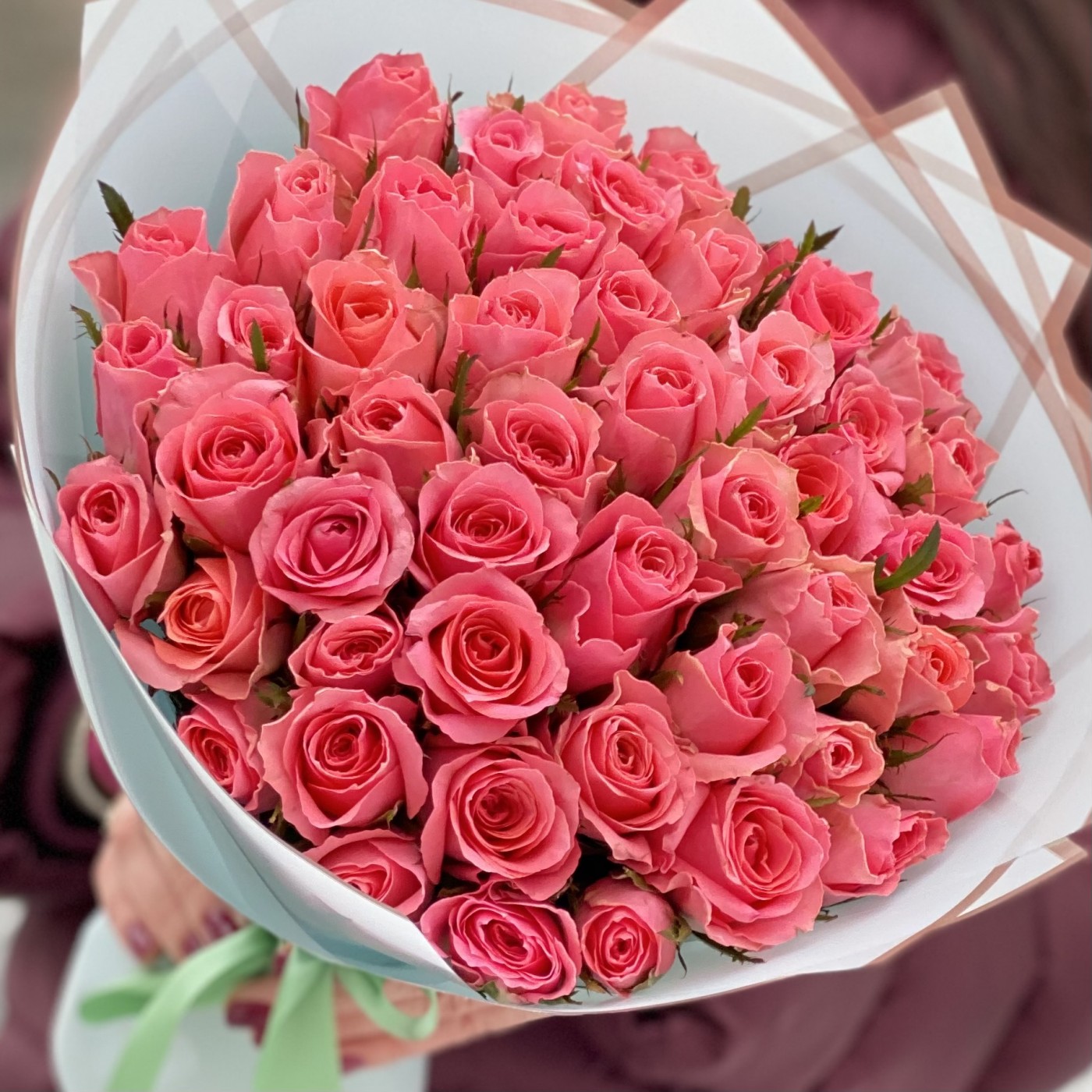 51 коралловая роза