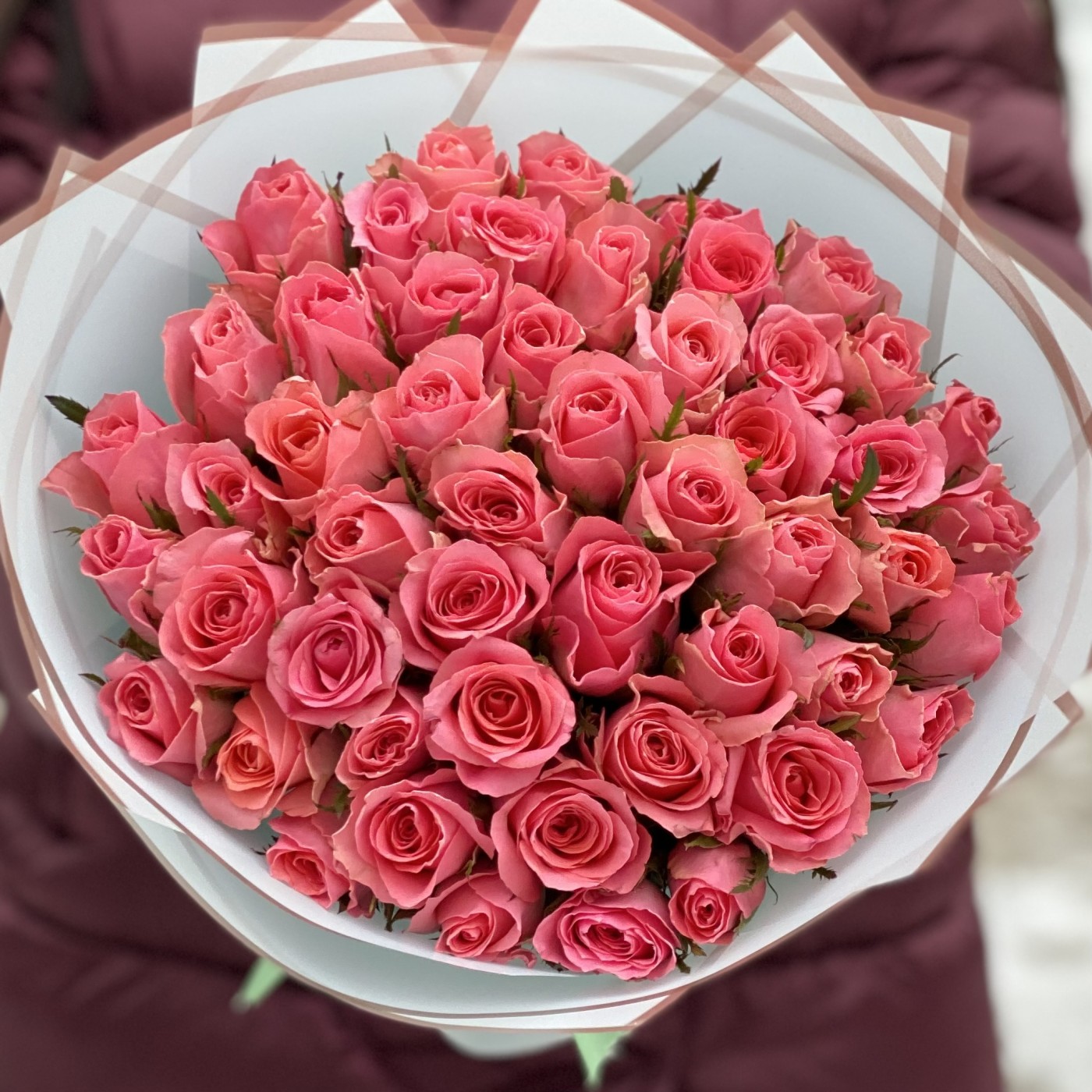 51 коралловая роза