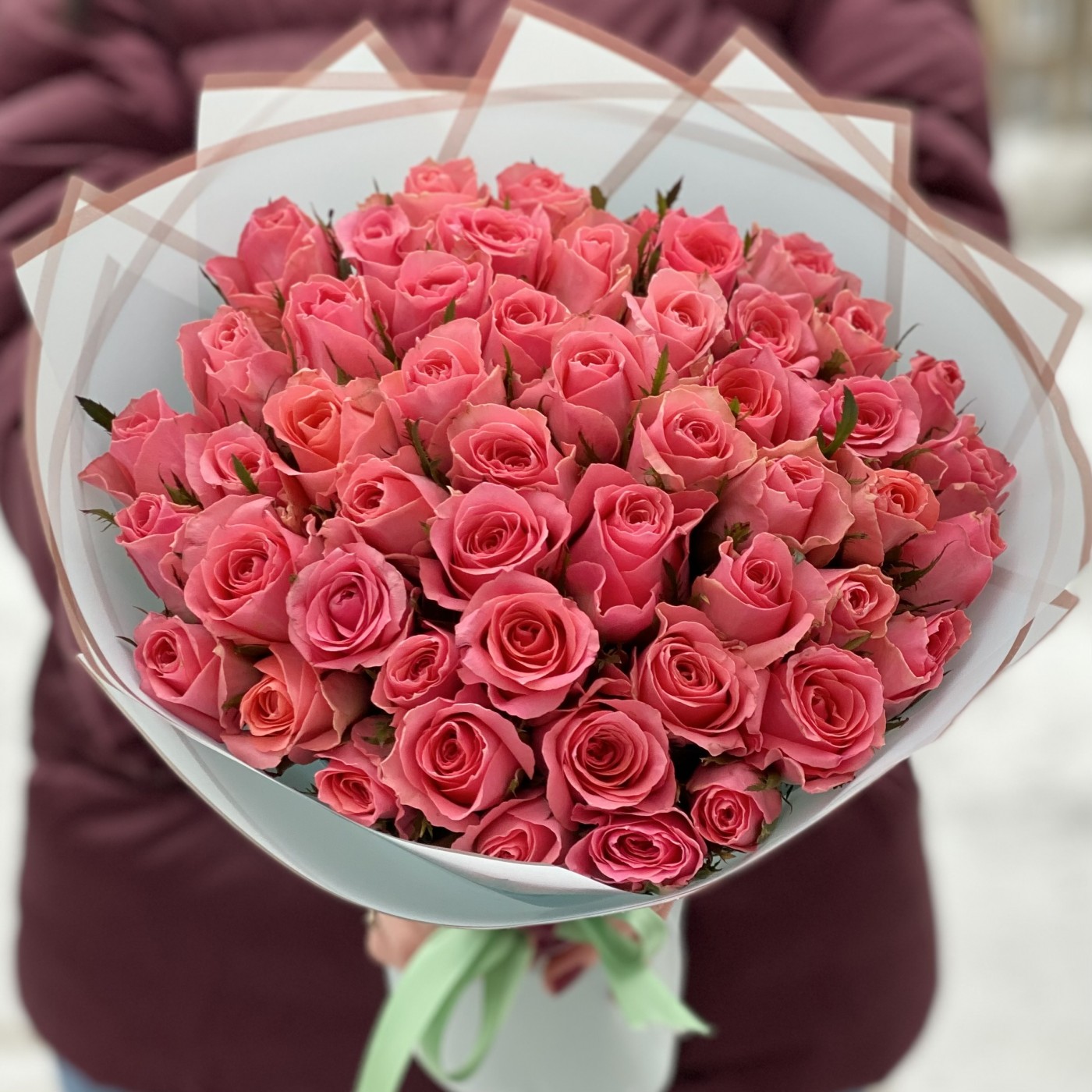 51 коралловая роза