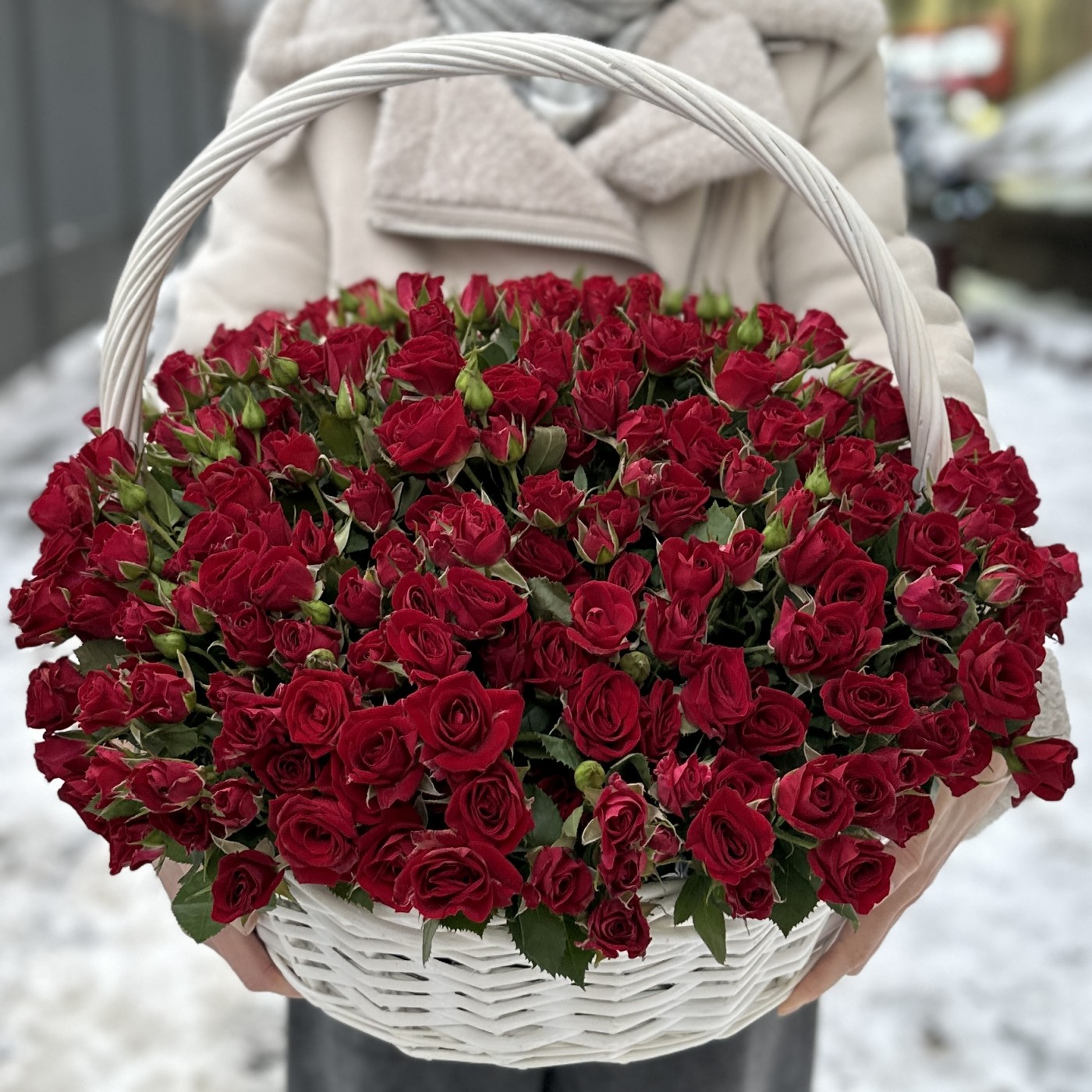 51 красная кустовая роза Рубикон в корзине