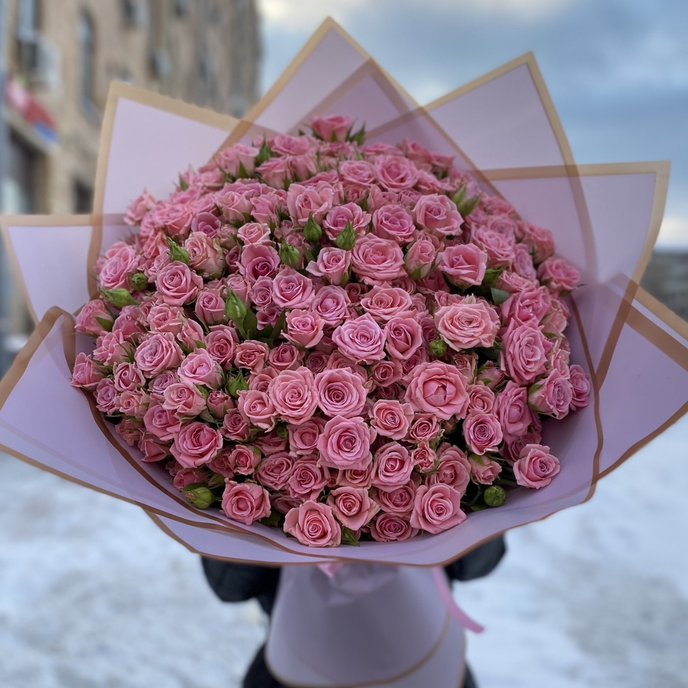 51 розовая кустовая роза Одилия 50см