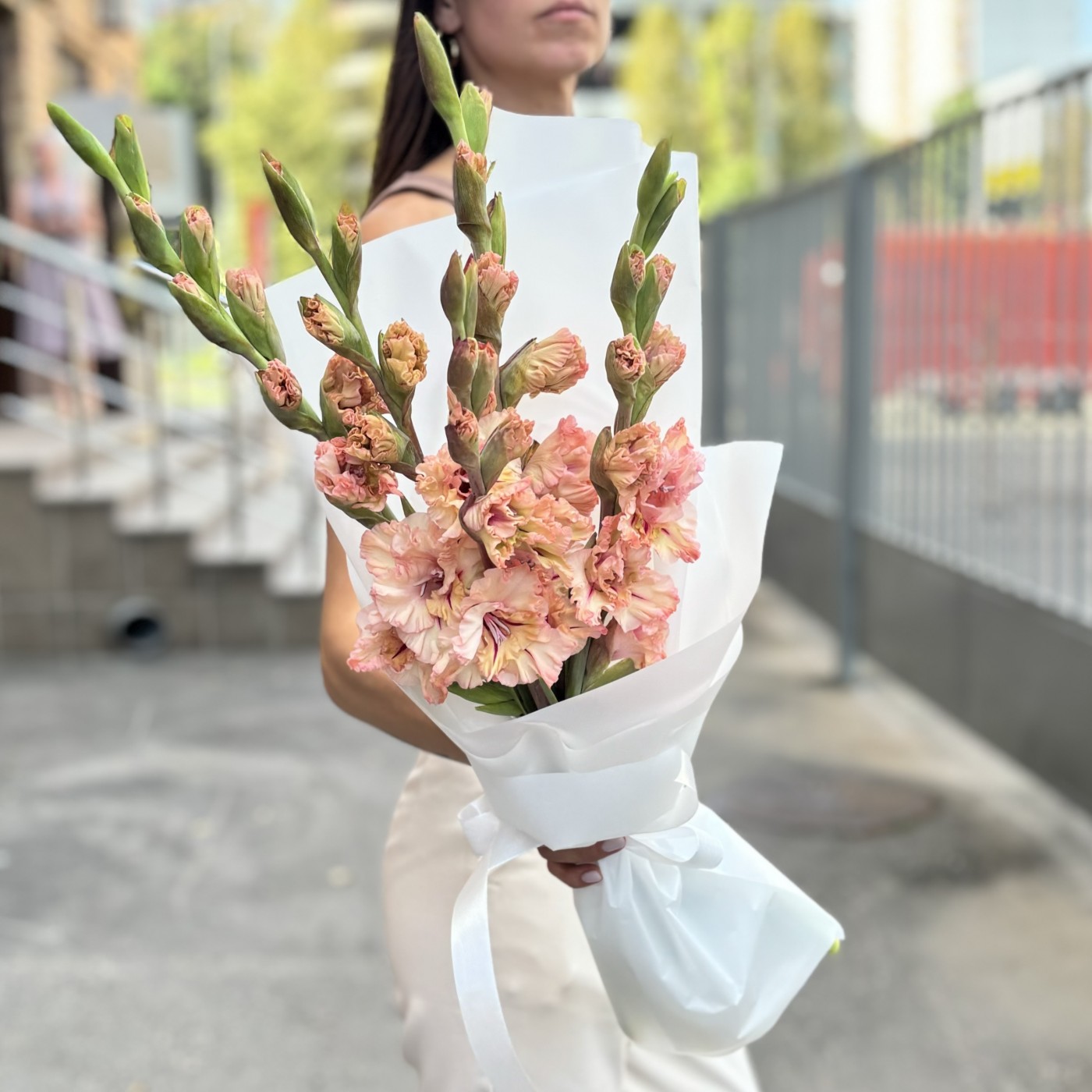 5 бело-розовых гладиолусов