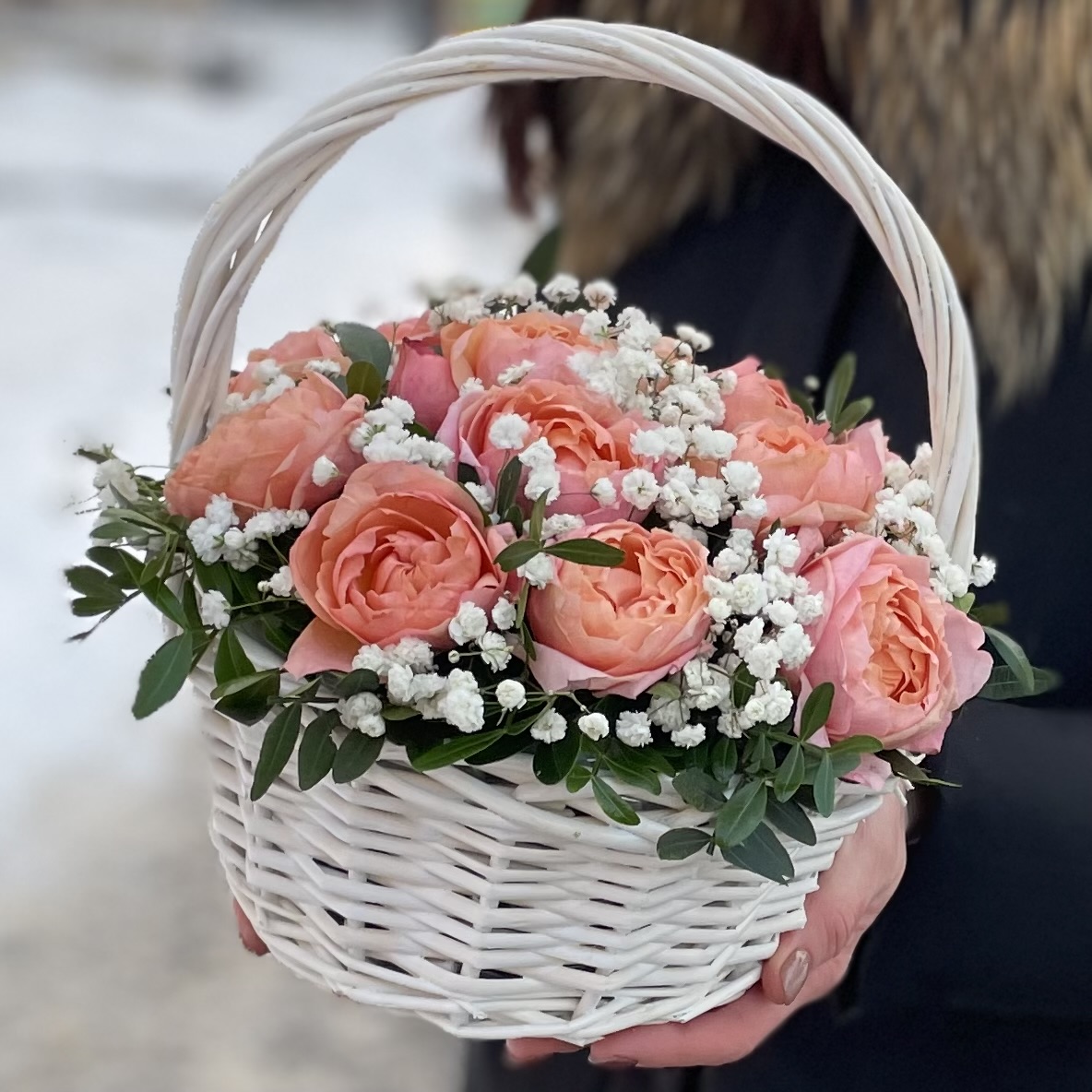 5 кустовых пионовидных роз Джульетта в корзине с гипсофилой