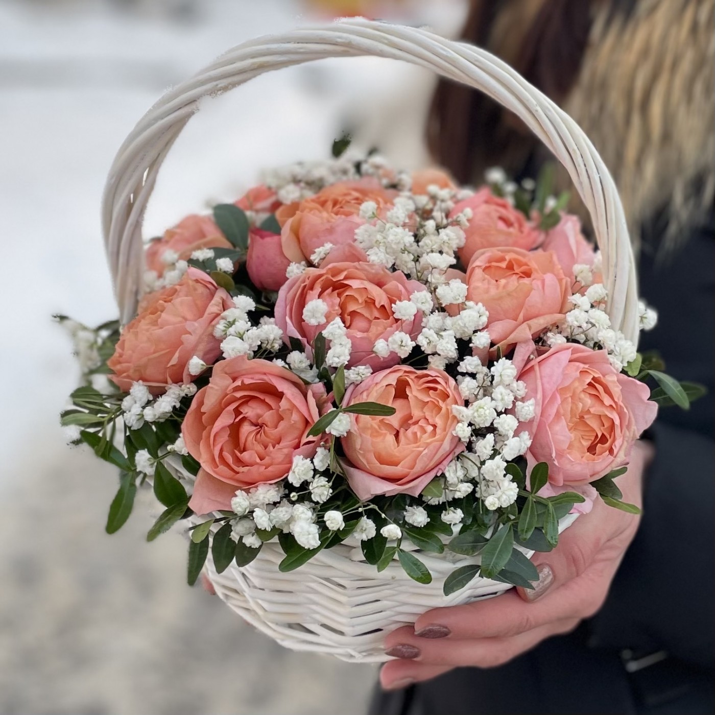 5 кустовых пионовидных роз Джульетта в корзине с гипсофилой