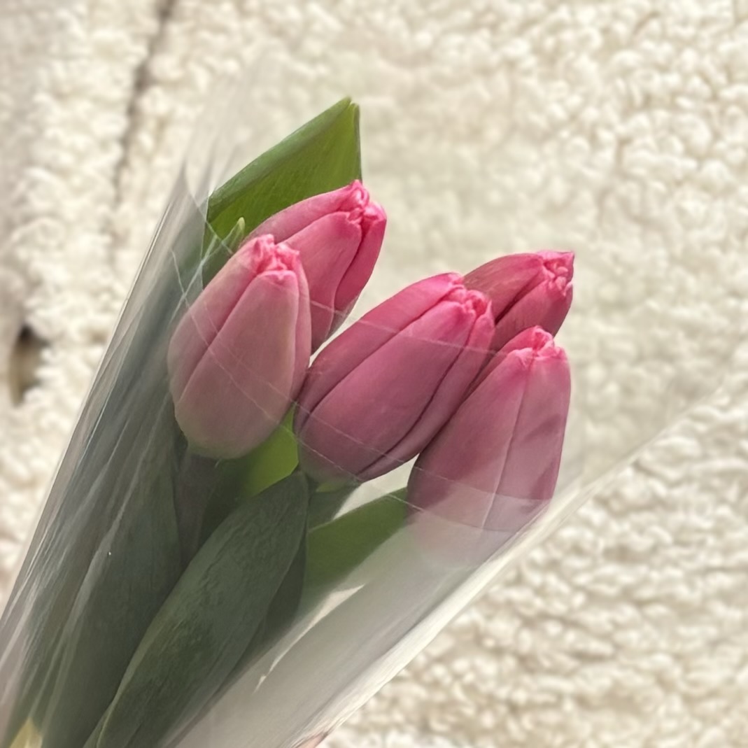 5 розовых тюльпанов Трезор
