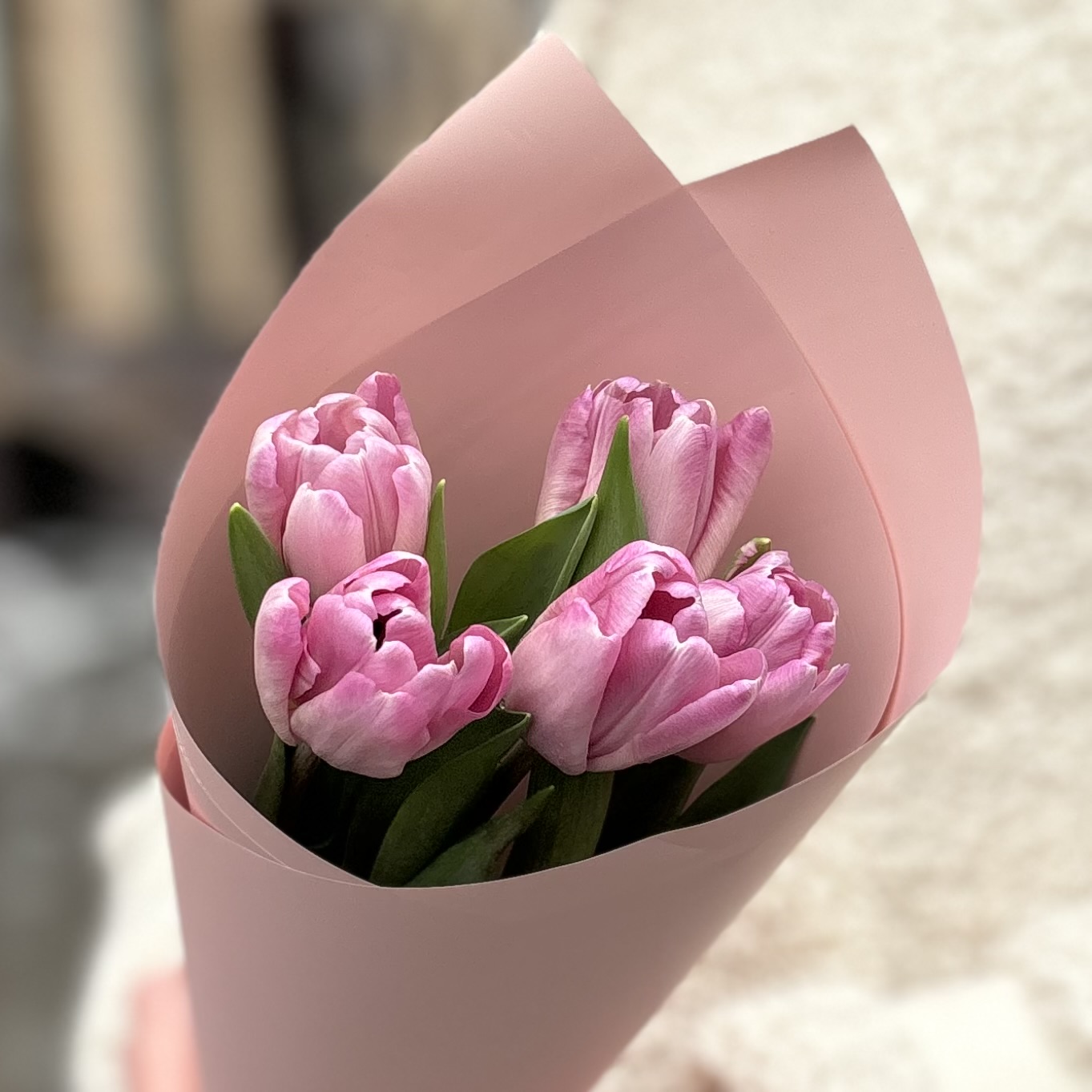 5 розовых тюльпанов Династия в упаковке