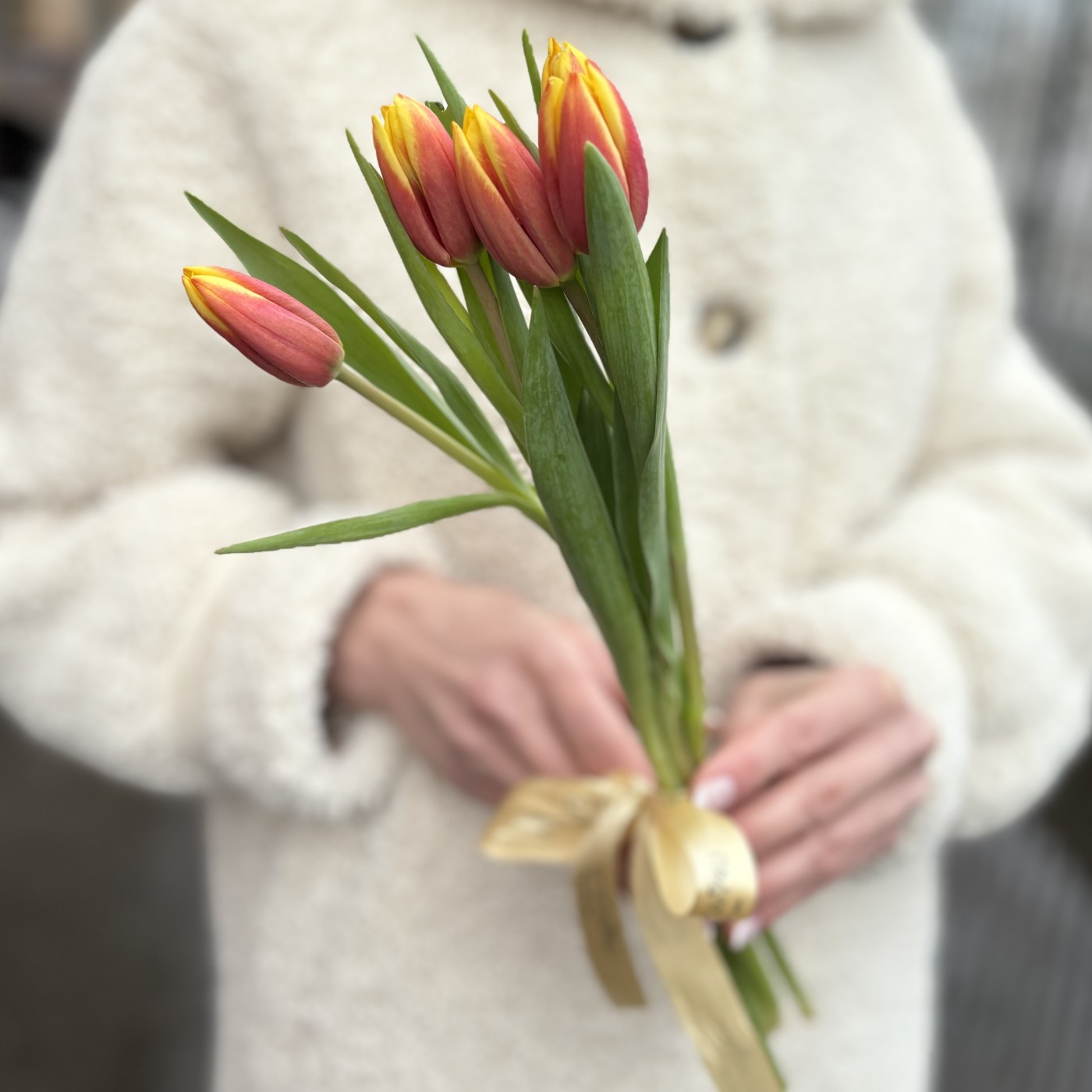 5 красно-желтых тюльпанов Денмарк