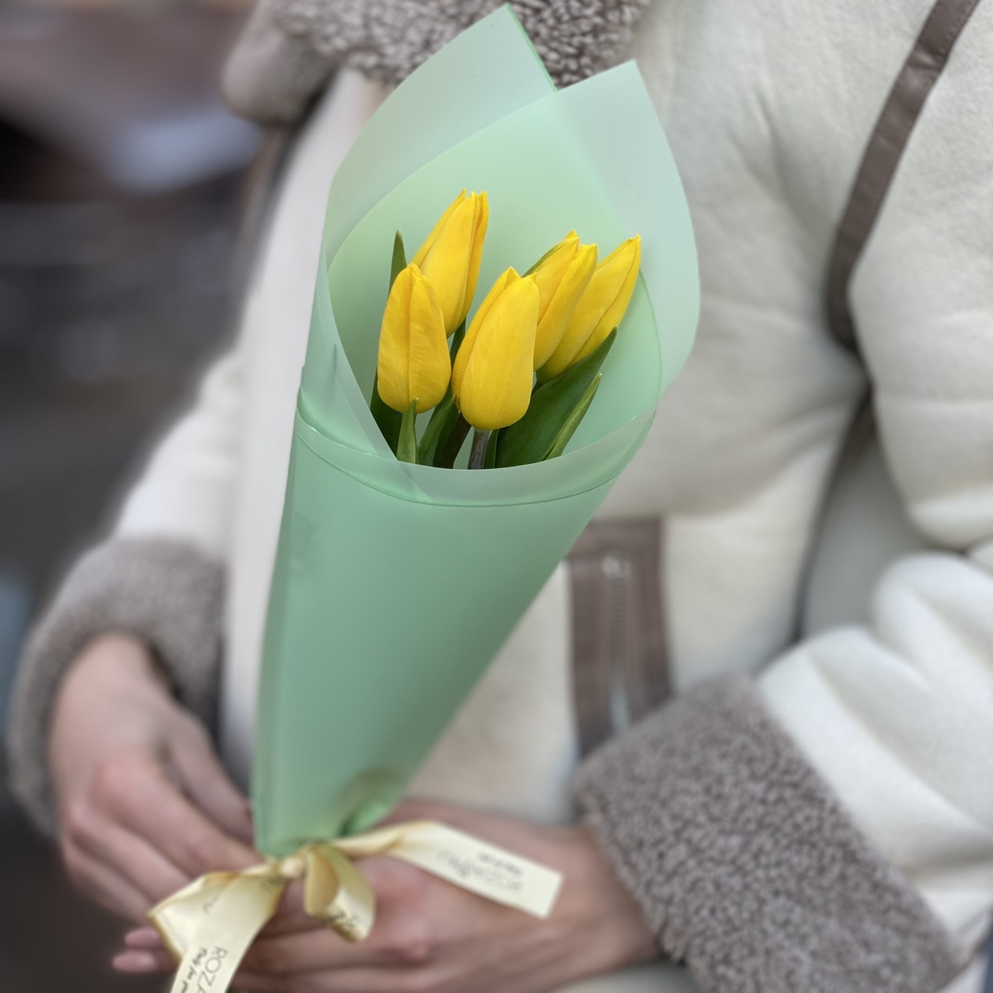 5 желтых тюльпанов в упаковке