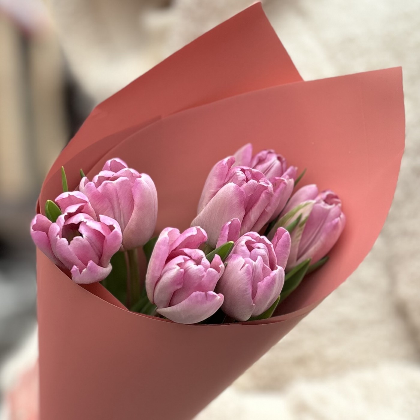 7 розовых тюльпанов Династия в упаковке