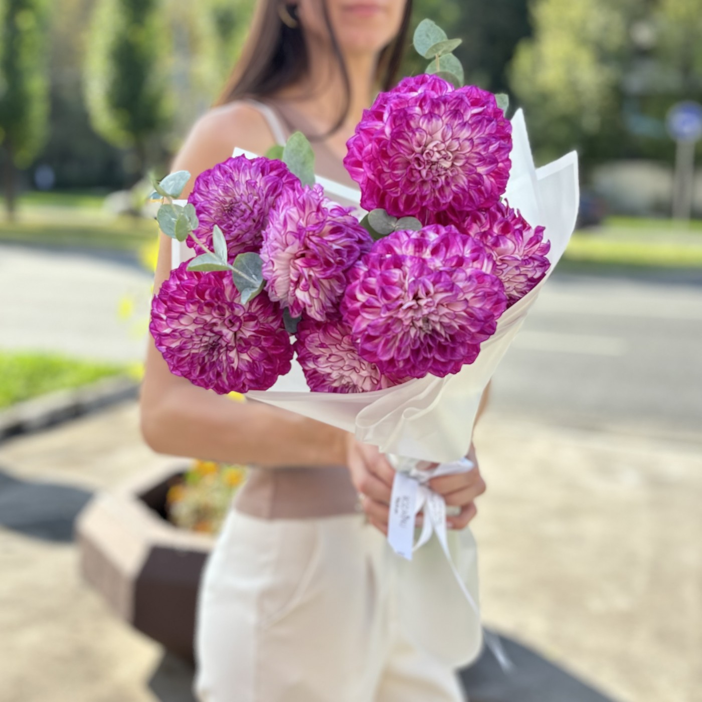 7 бело - фиолетовых георгин