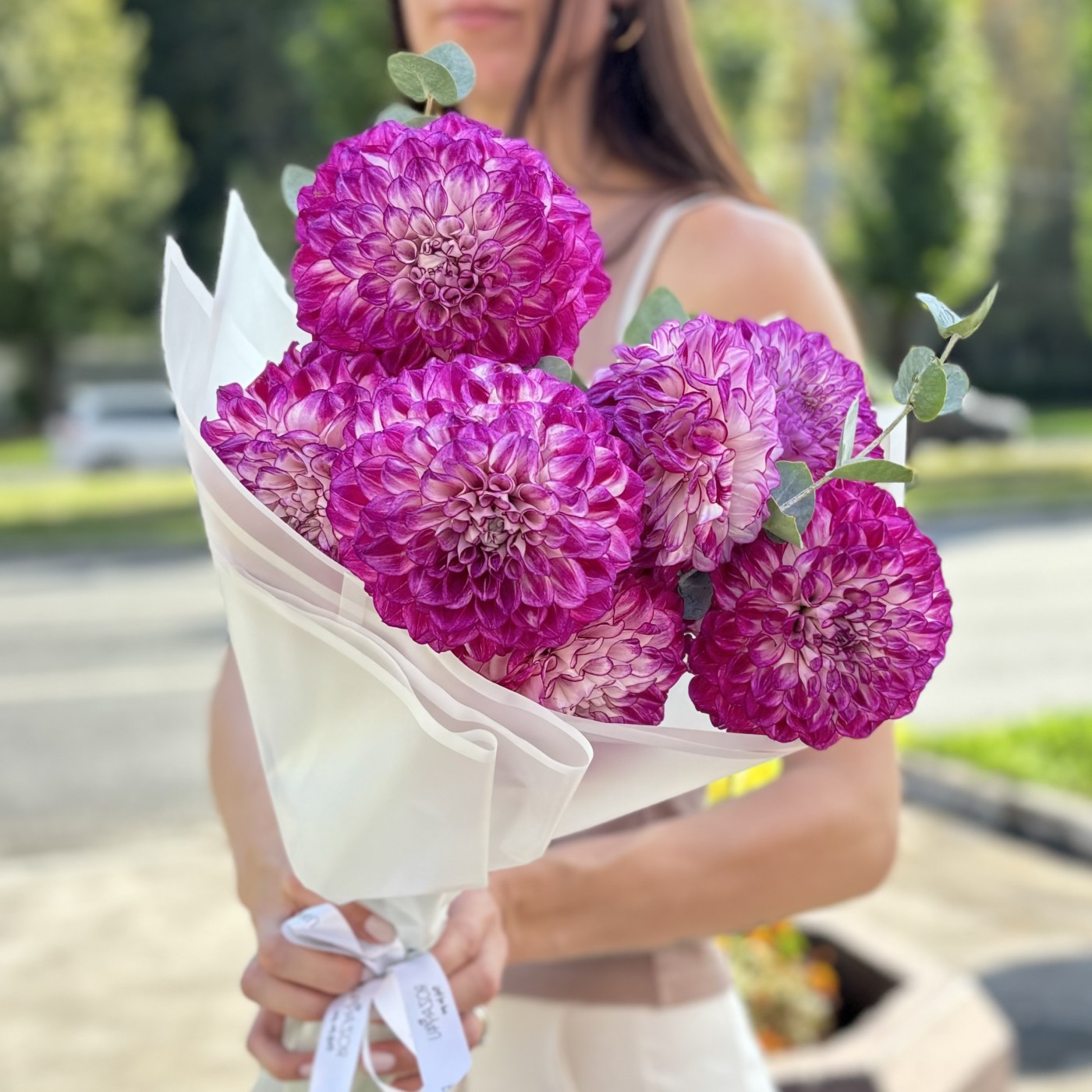 7 бело - фиолетовых георгин