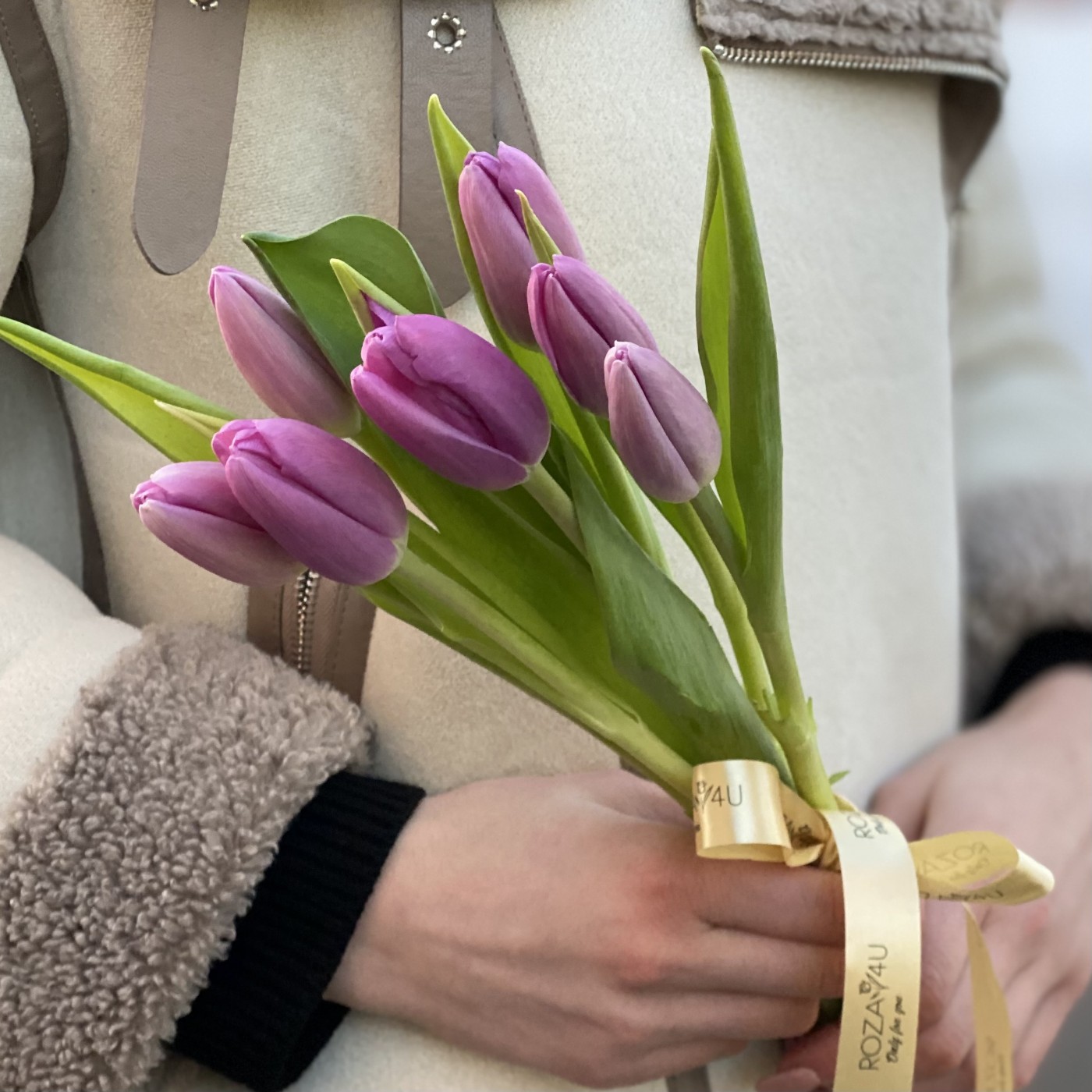 7 лиловых тюльпанов Шугр принц