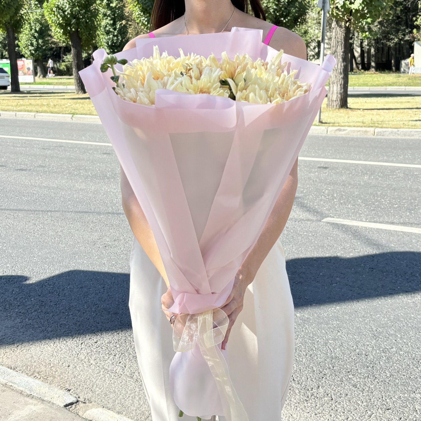 9 персиковых кустовых хризантем Балтика