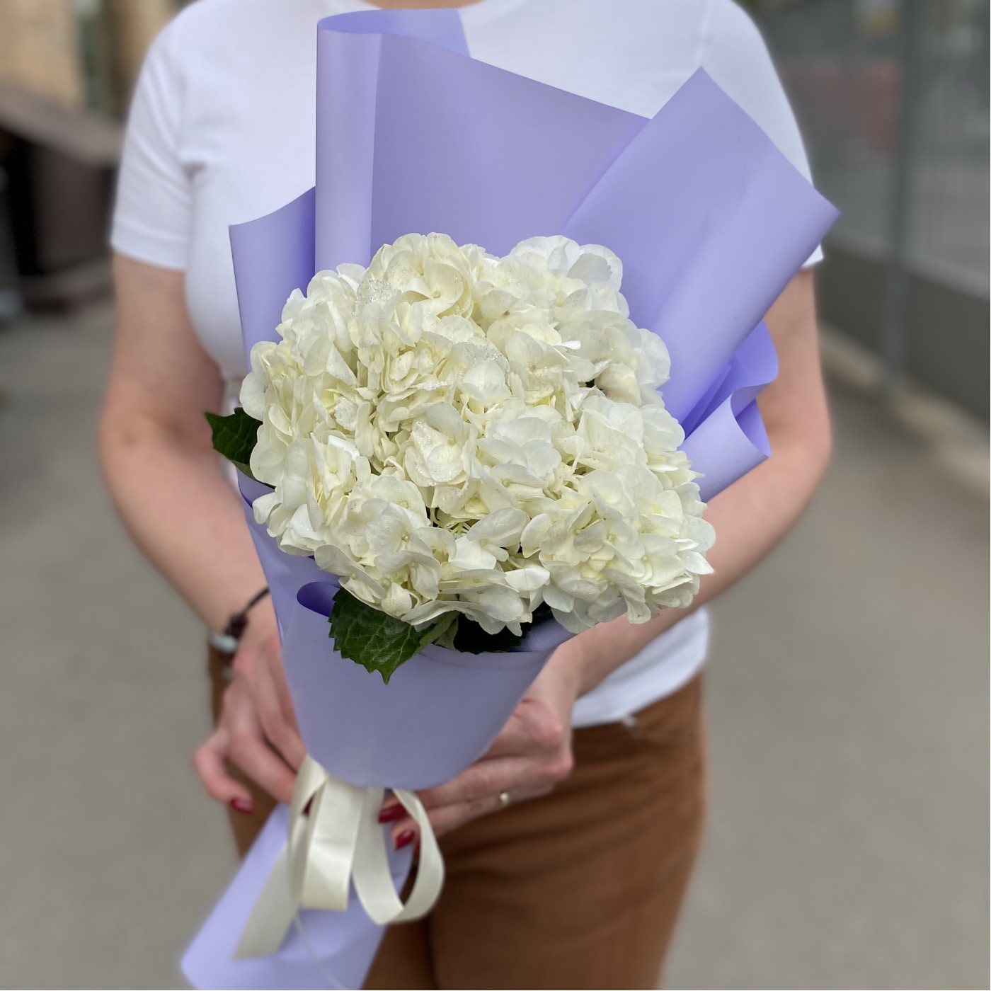 Гортензия Вайт Глиттер в упаковке