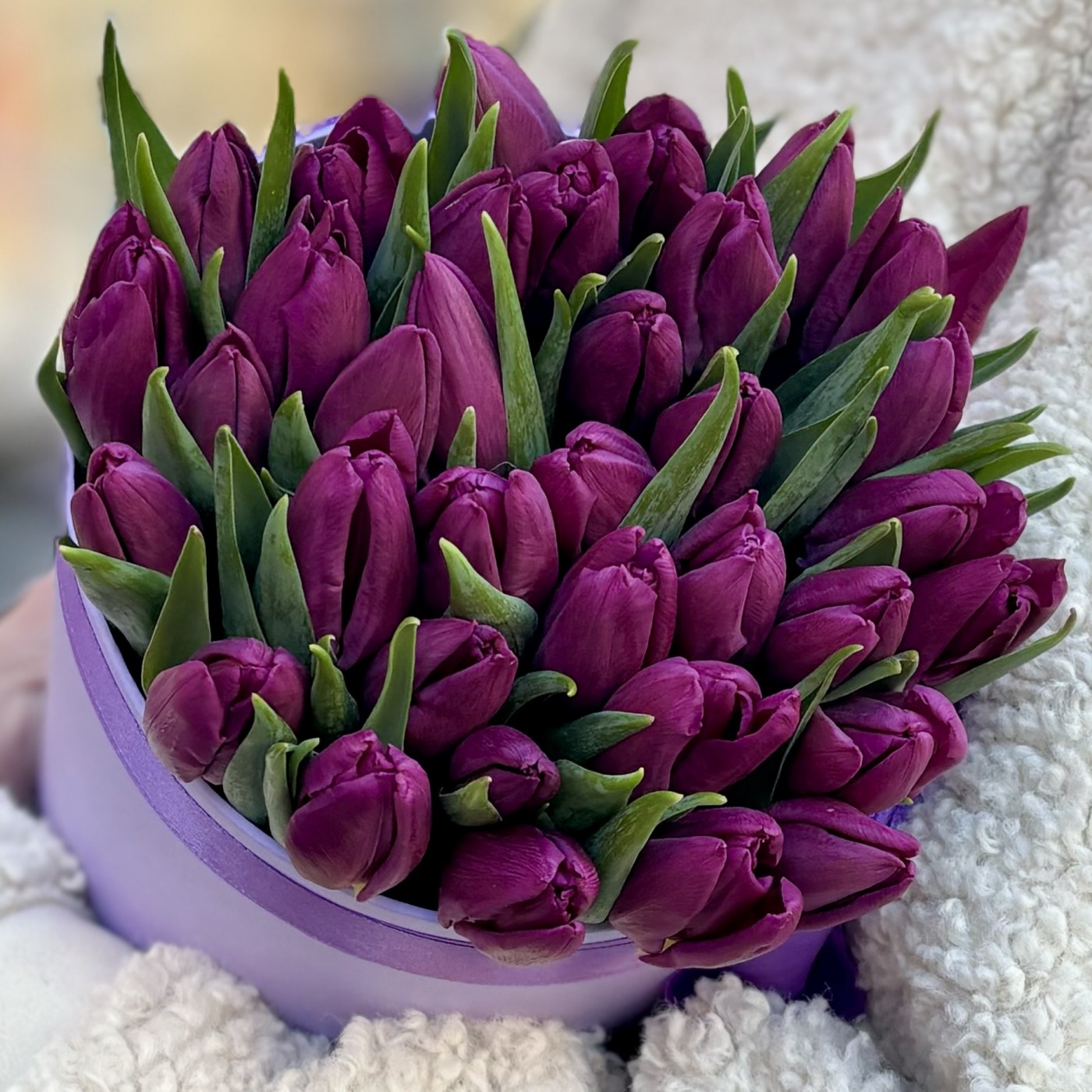 Фиолетовые тюльпаны в лиловой коробке