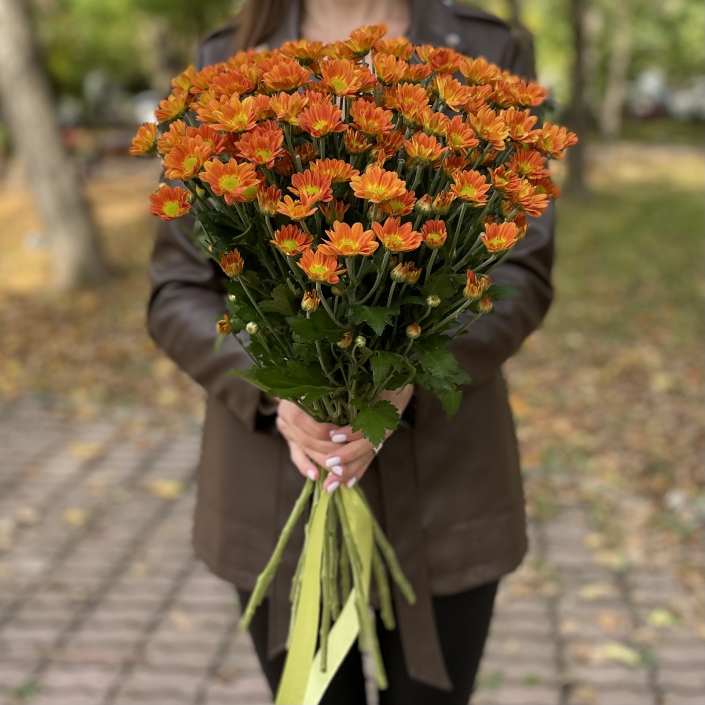 Хризантема кустовая оранжевая Спейс Эйдж
