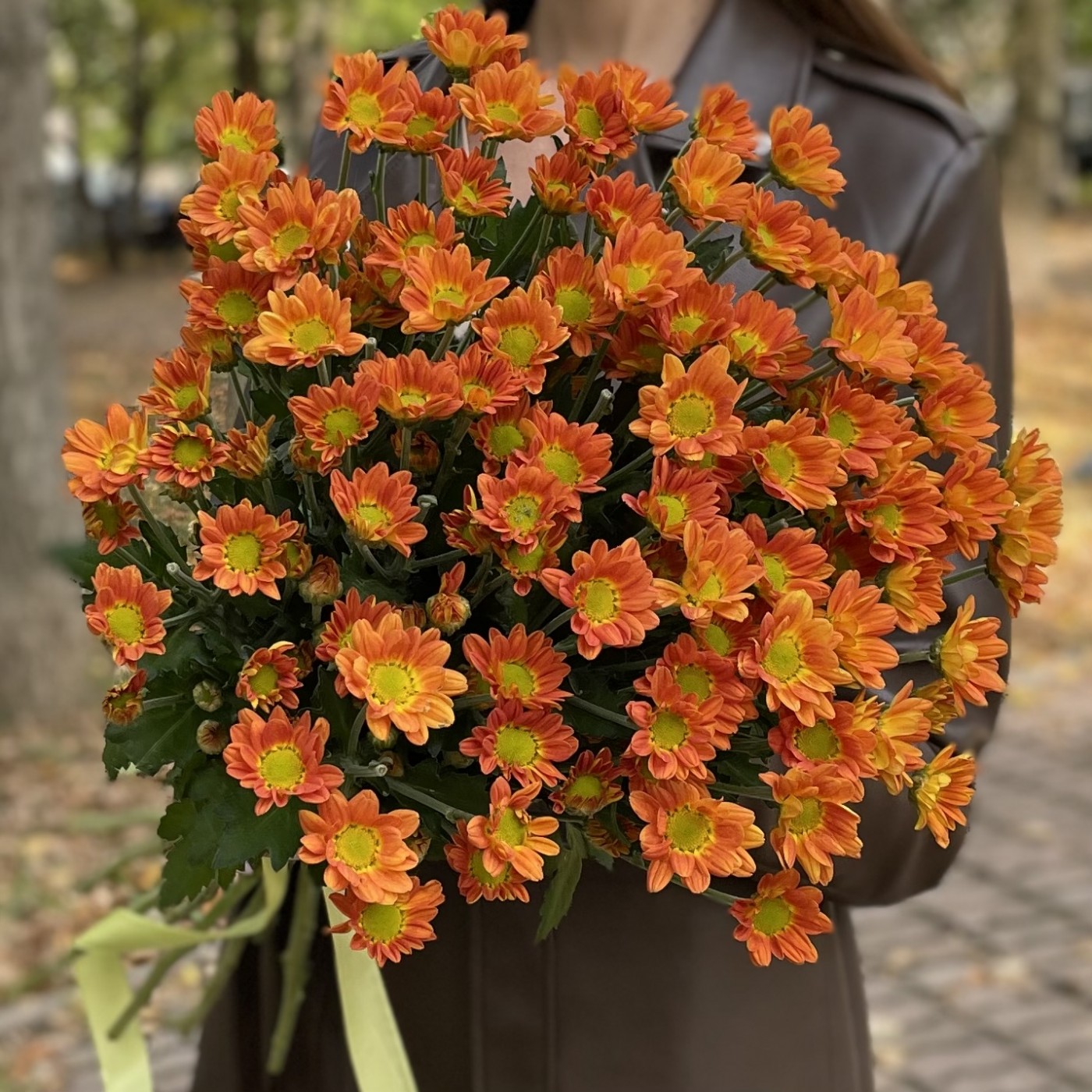 Хризантема кустовая оранжевая Спейс Эйдж