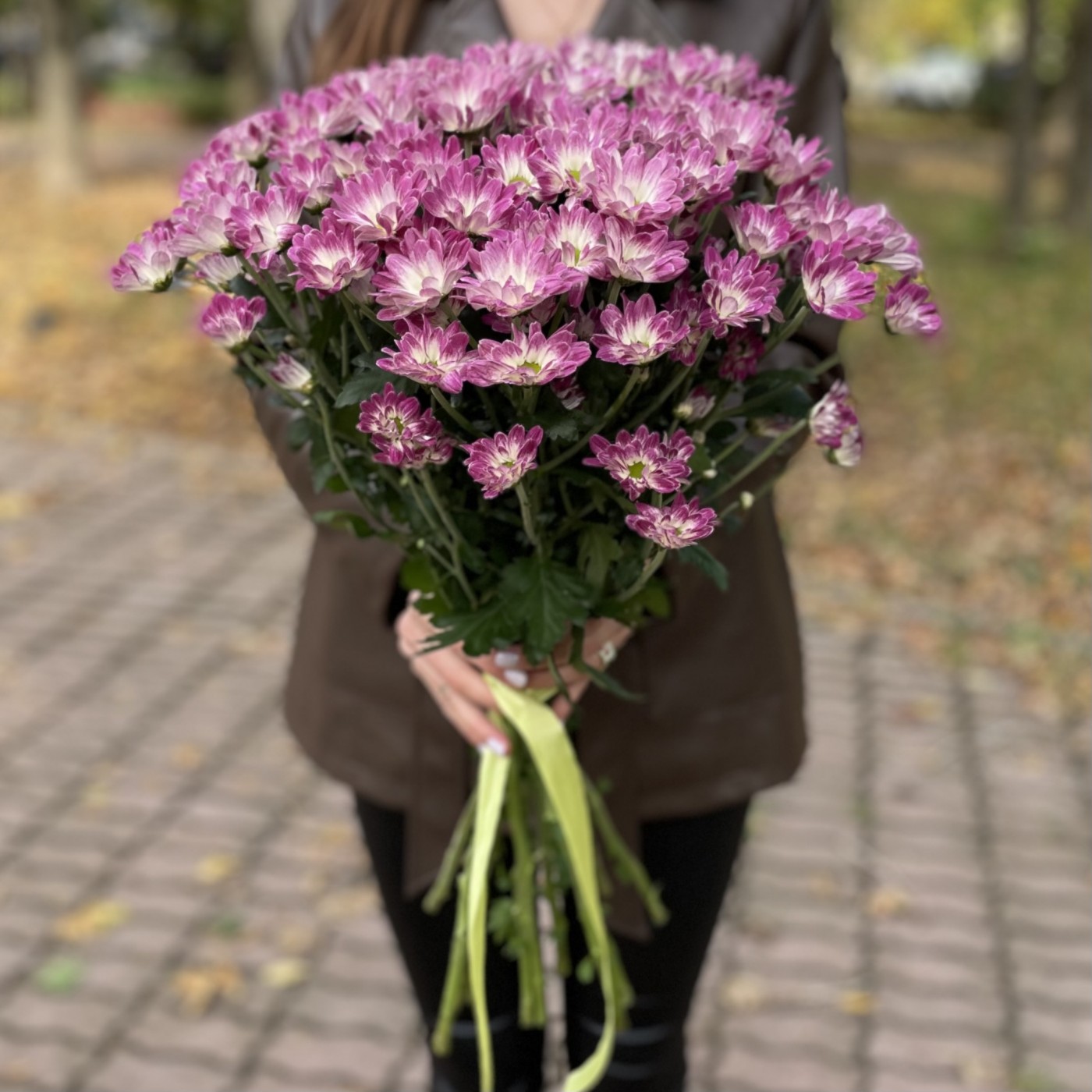 Хризантема кустовая бело-фиолетовая  Флейрстар