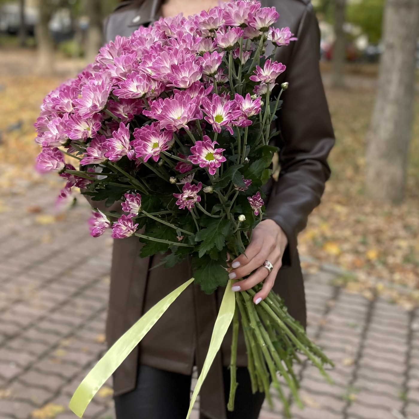 Хризантема кустовая бело-фиолетовая  Флейрстар