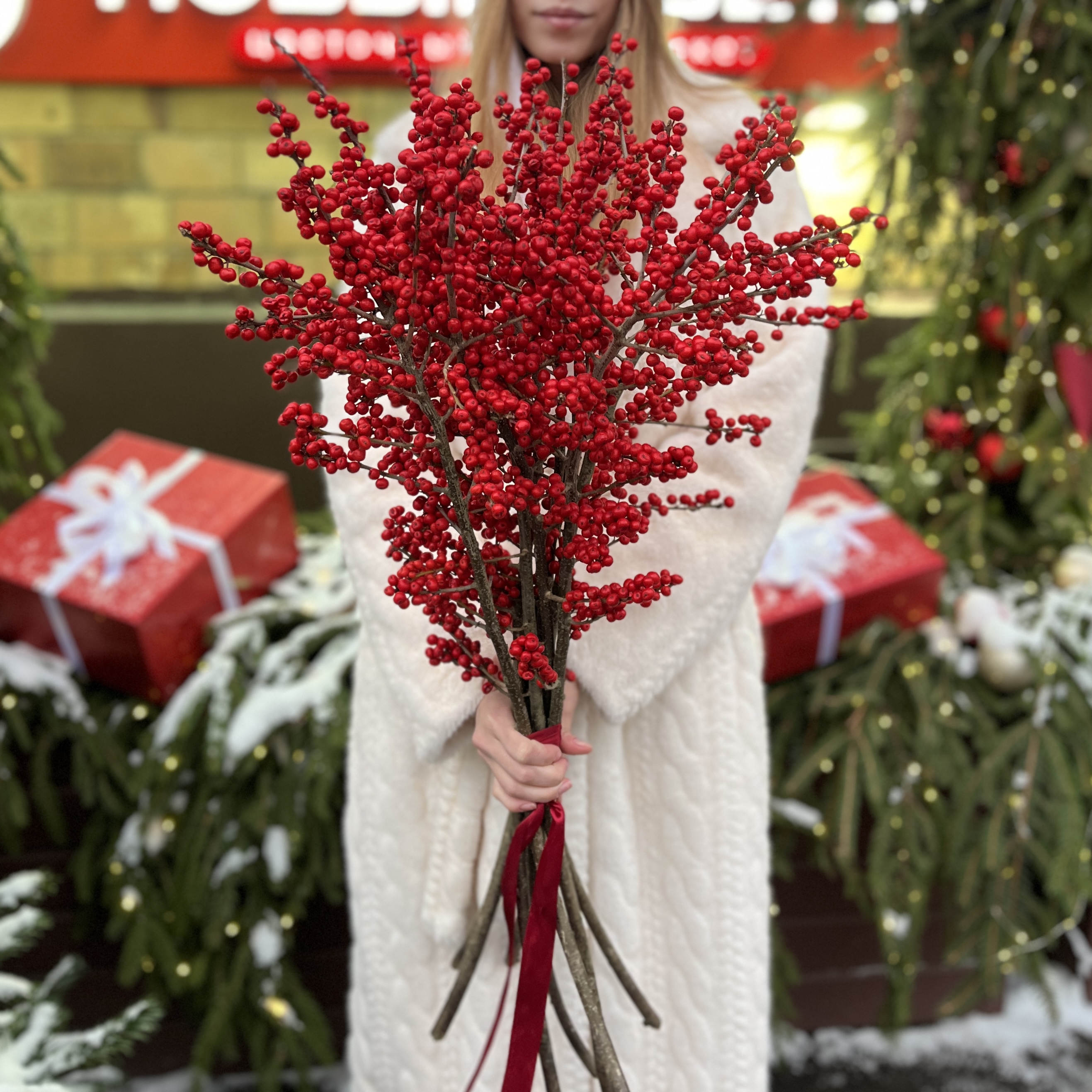 Илекс Красный