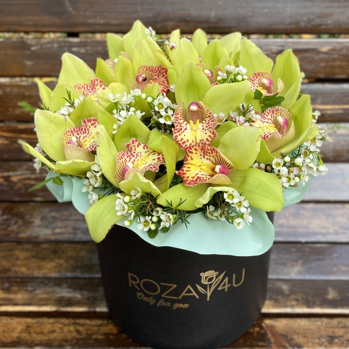 Изящные зеленые орхидеи в коробке