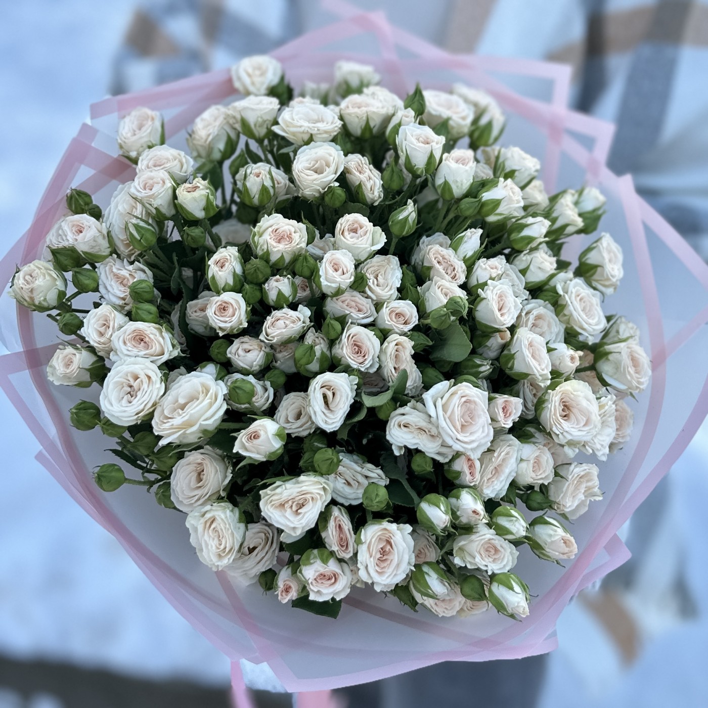 25 кустовых кремовых роз Рослин 50 см