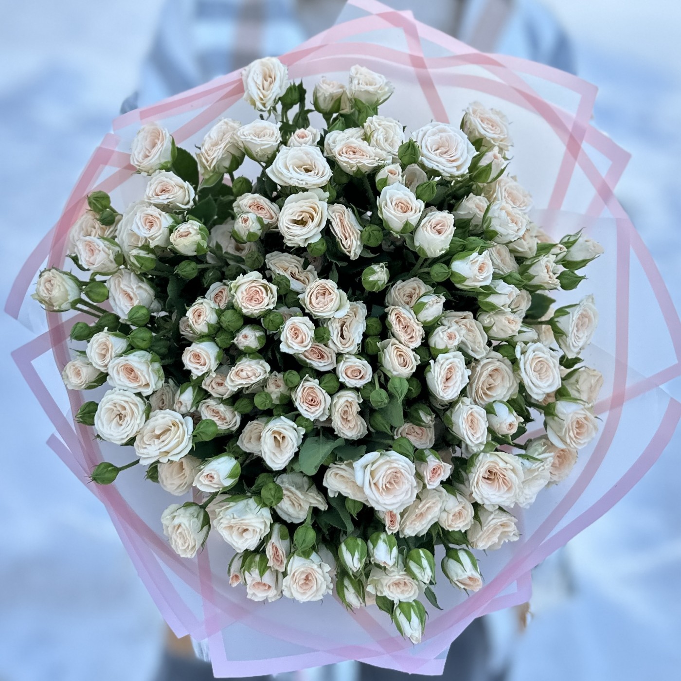 25 кустовых кремовых роз Рослин 50 см