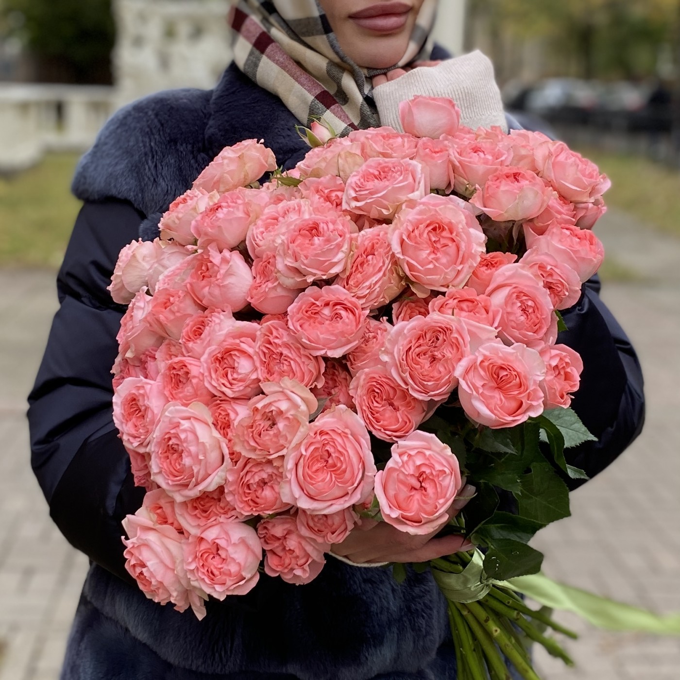 Кустовая пионовидная роза Фемке