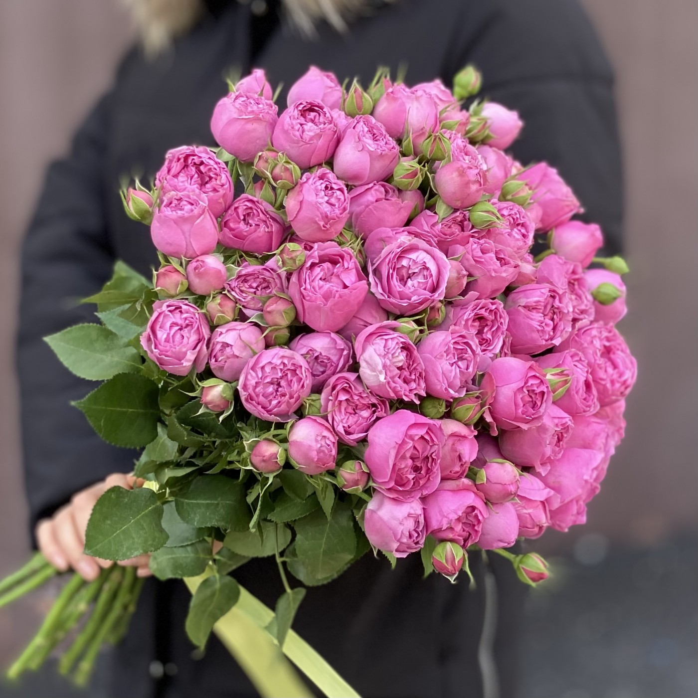 Кустовая пионовидная роза Мисти Баблс