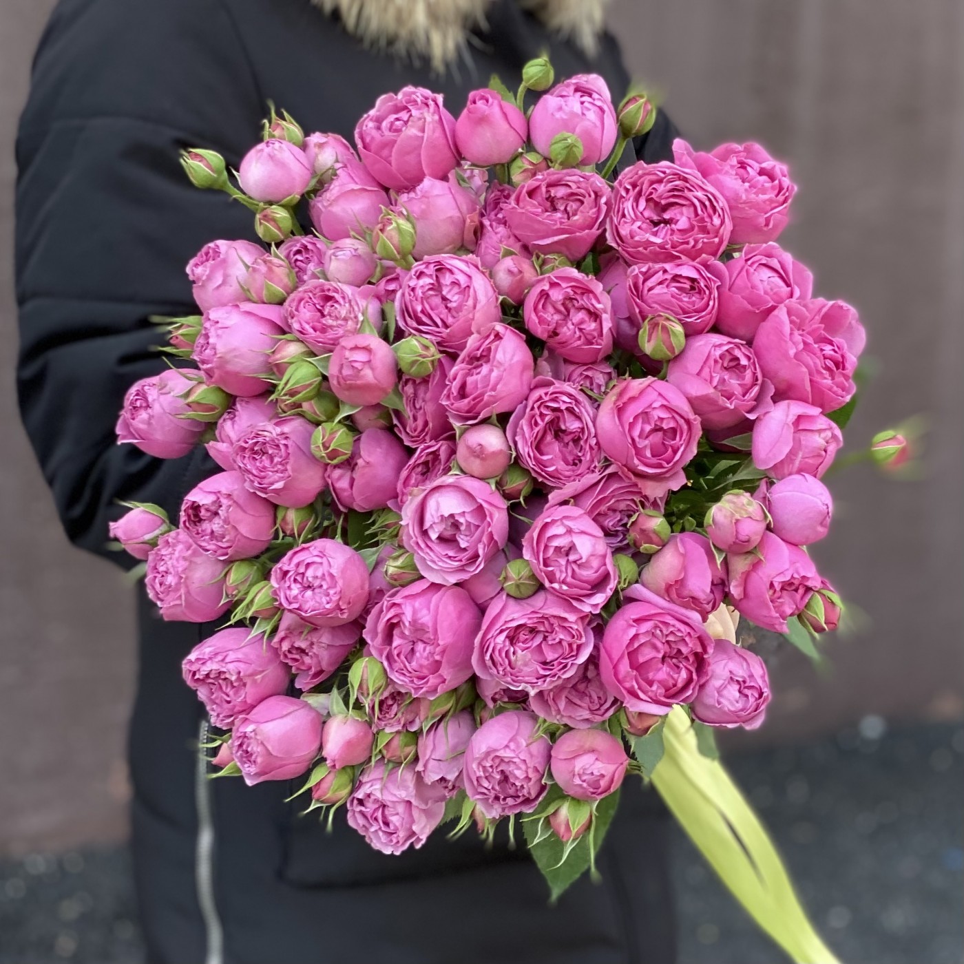 Кустовая пионовидная роза Мисти Баблс