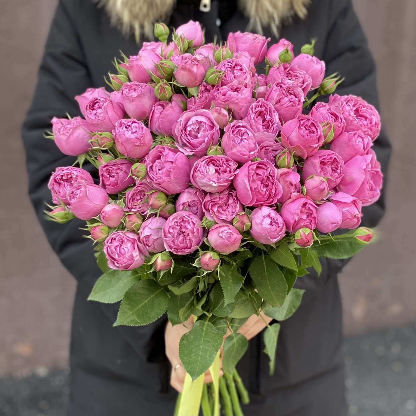 Кустовая пионовидная роза Мисти Баблс