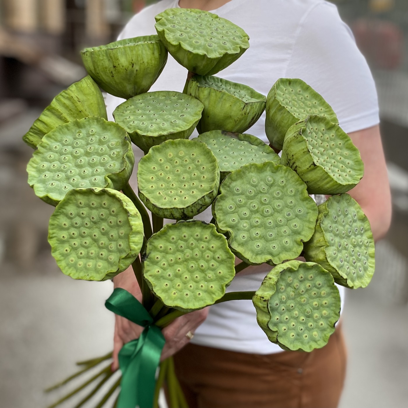 Лотос