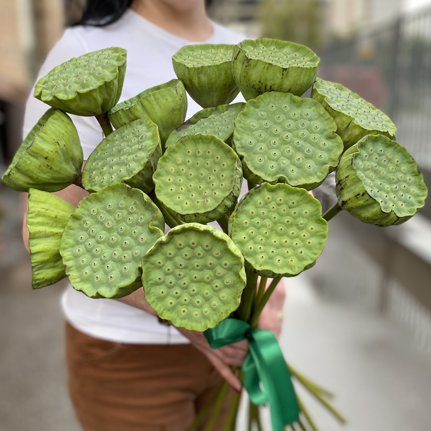 Лотос