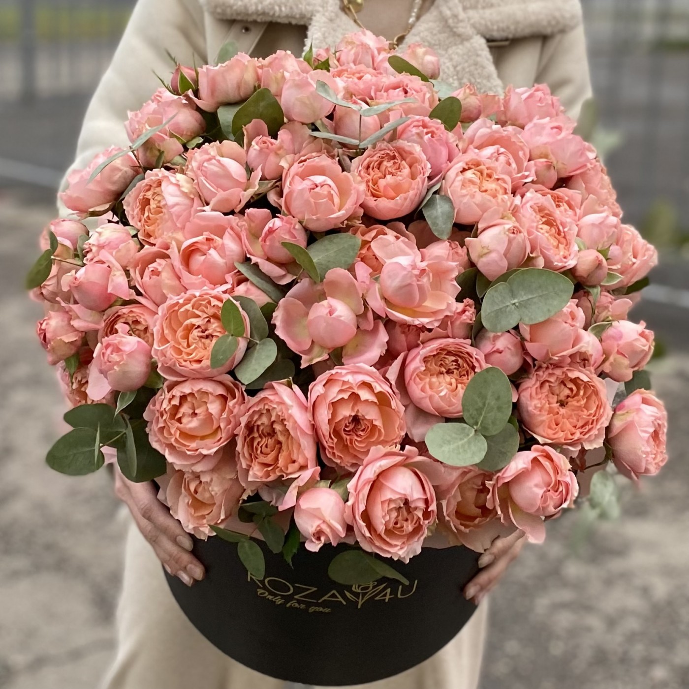 Пионовидная кустовая роза Джульетта в коробке