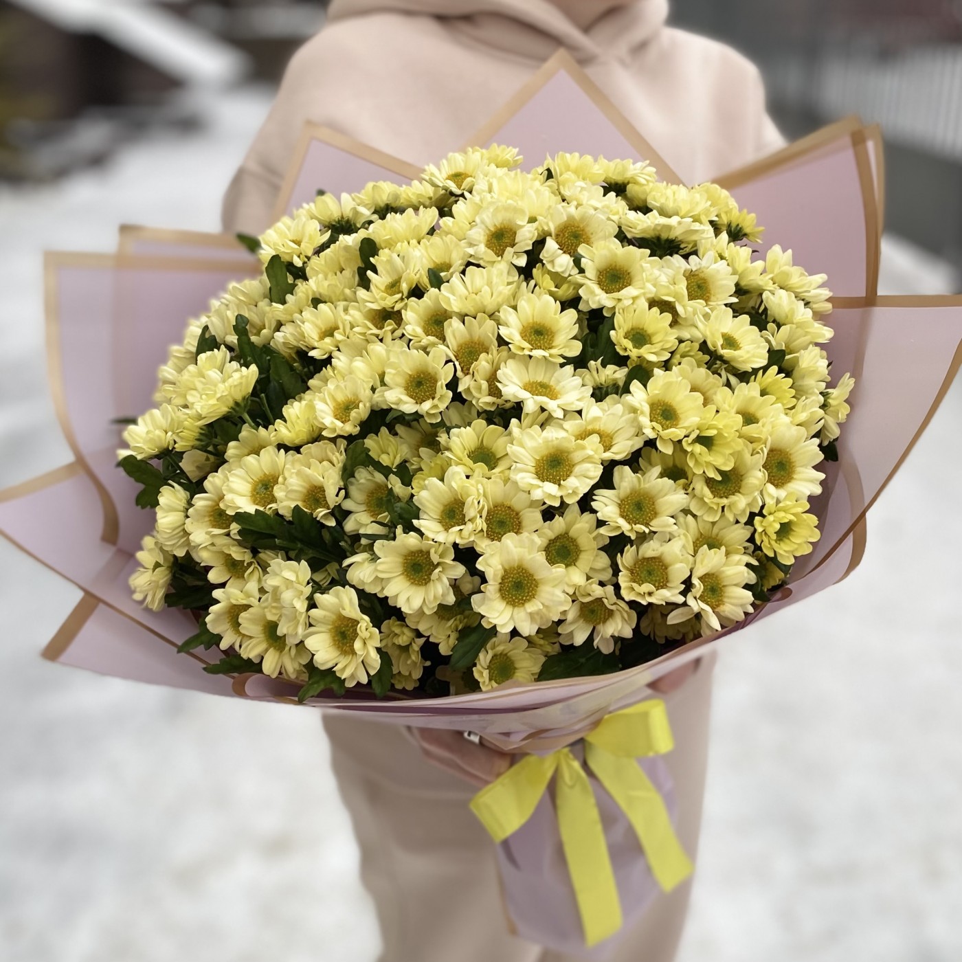 Букет из 25 кремовых хризантем Сантини
