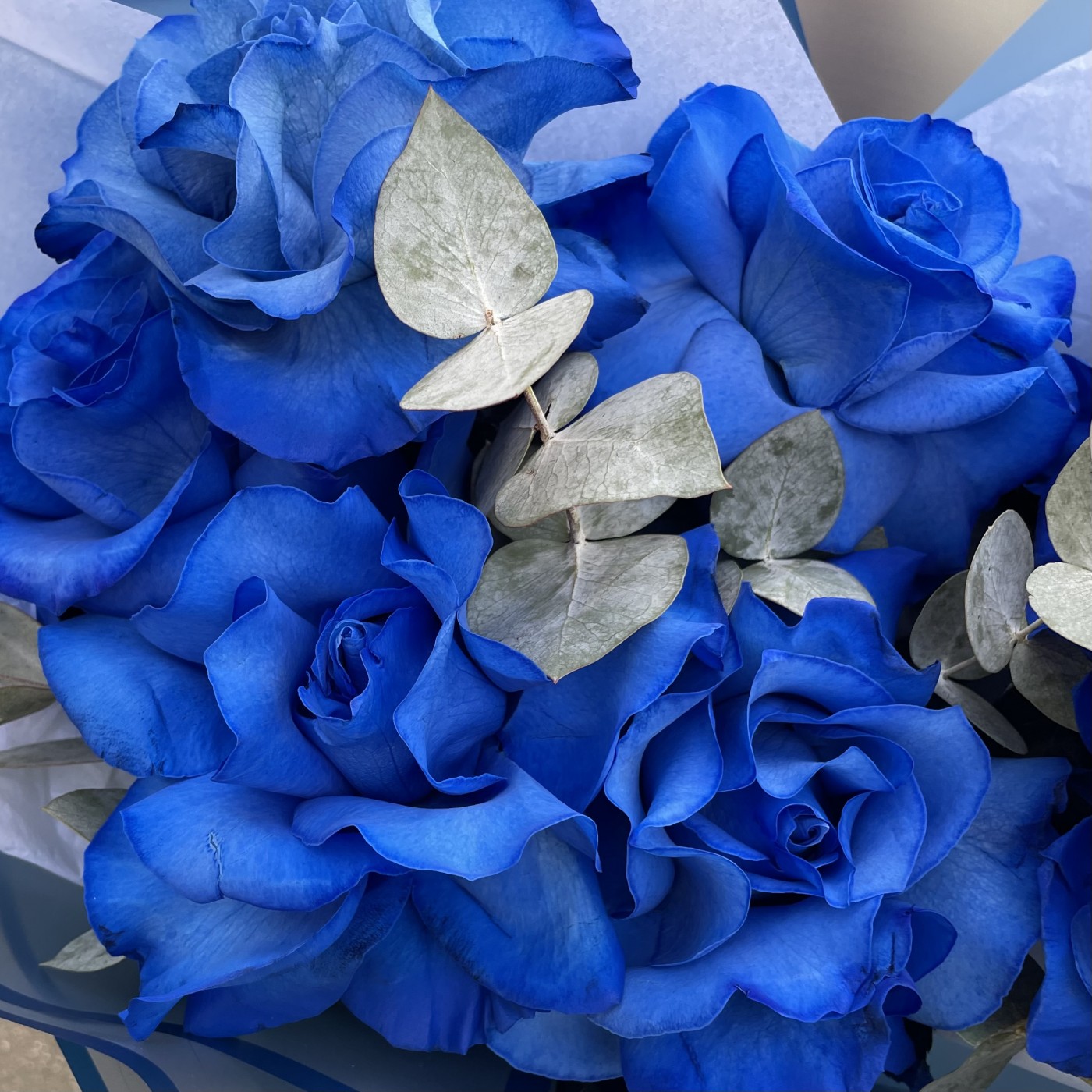 ВАУ-букет из синих роз с эвкалиптом