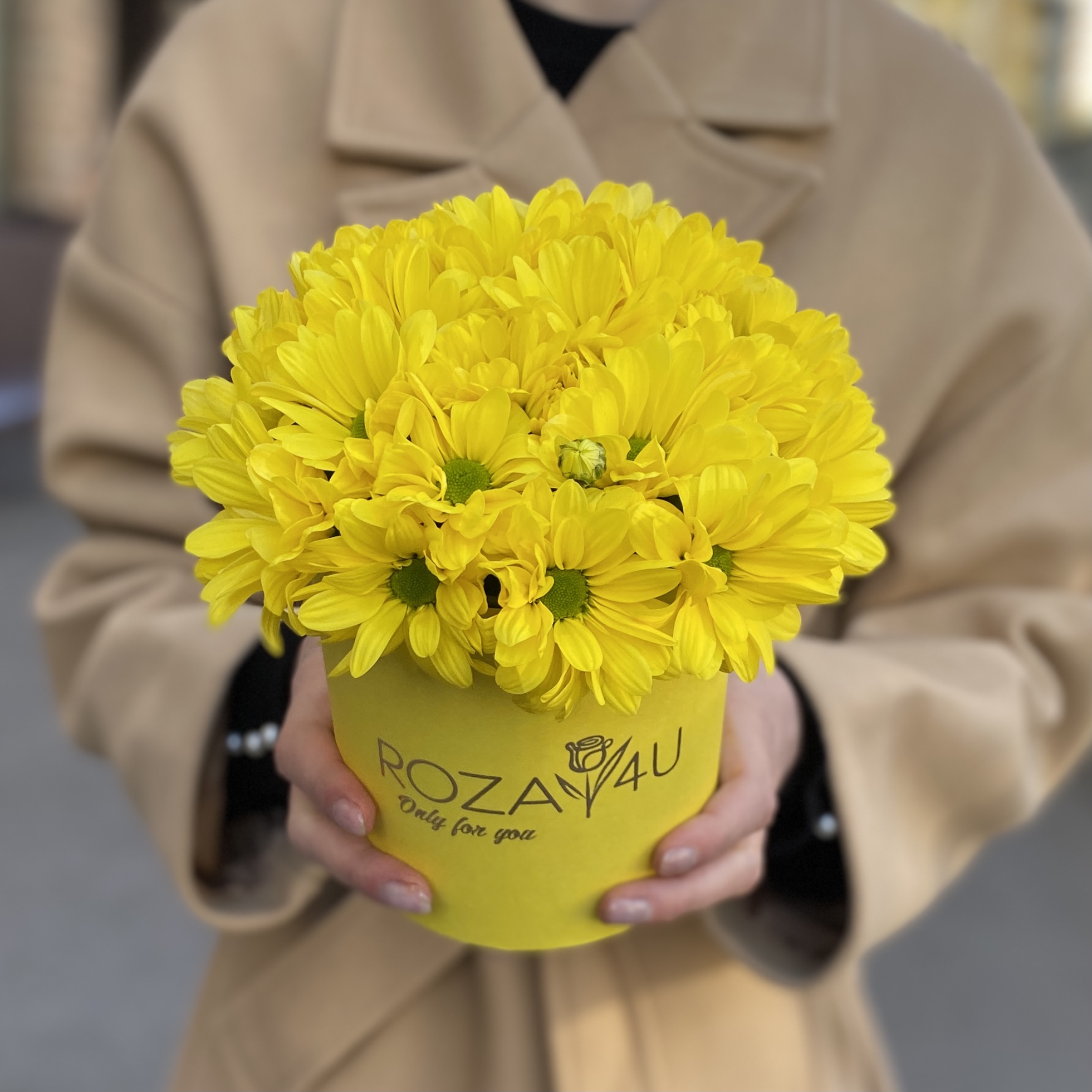 Желтые кустовые хризантемы в коробке