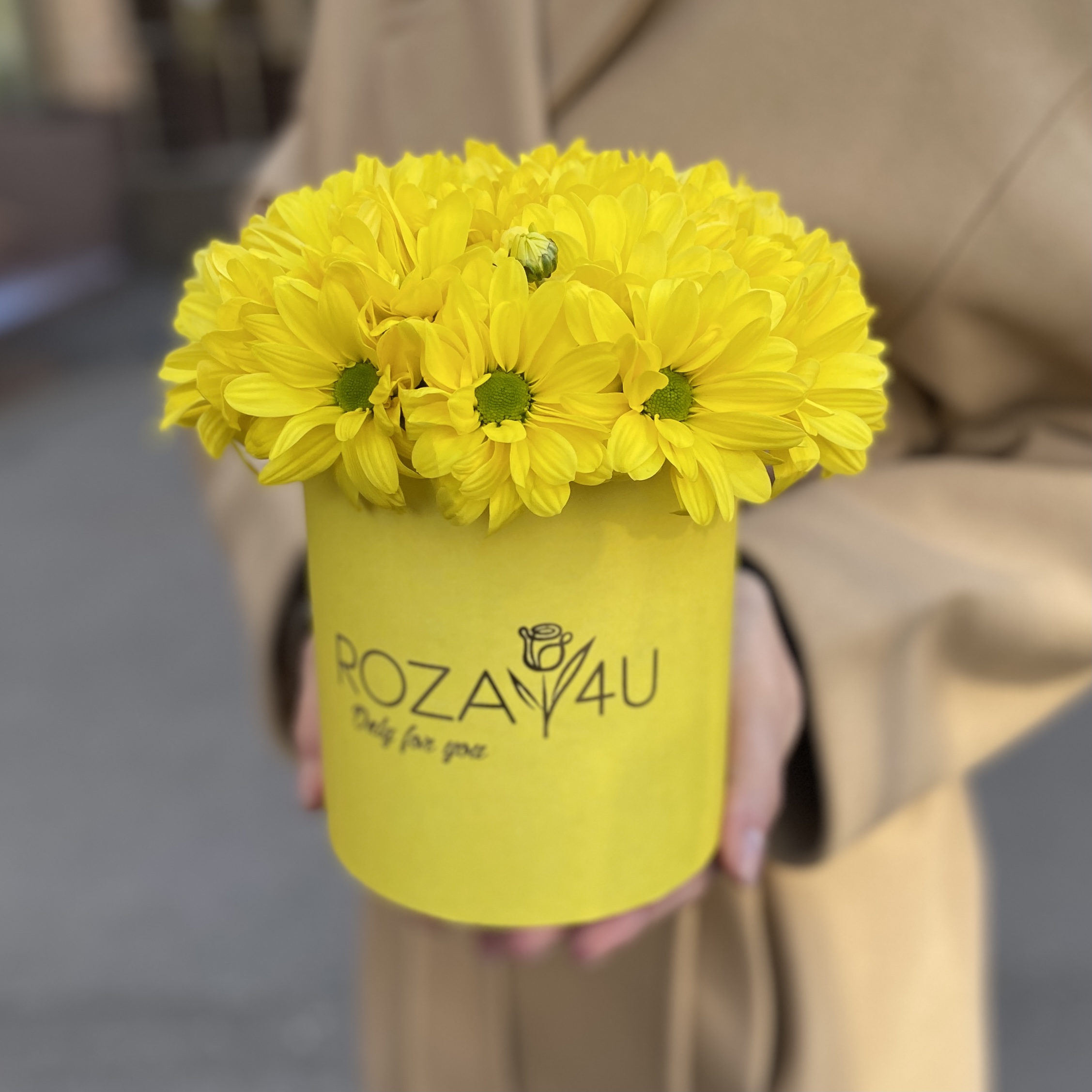 Желтые кустовые хризантемы в коробке