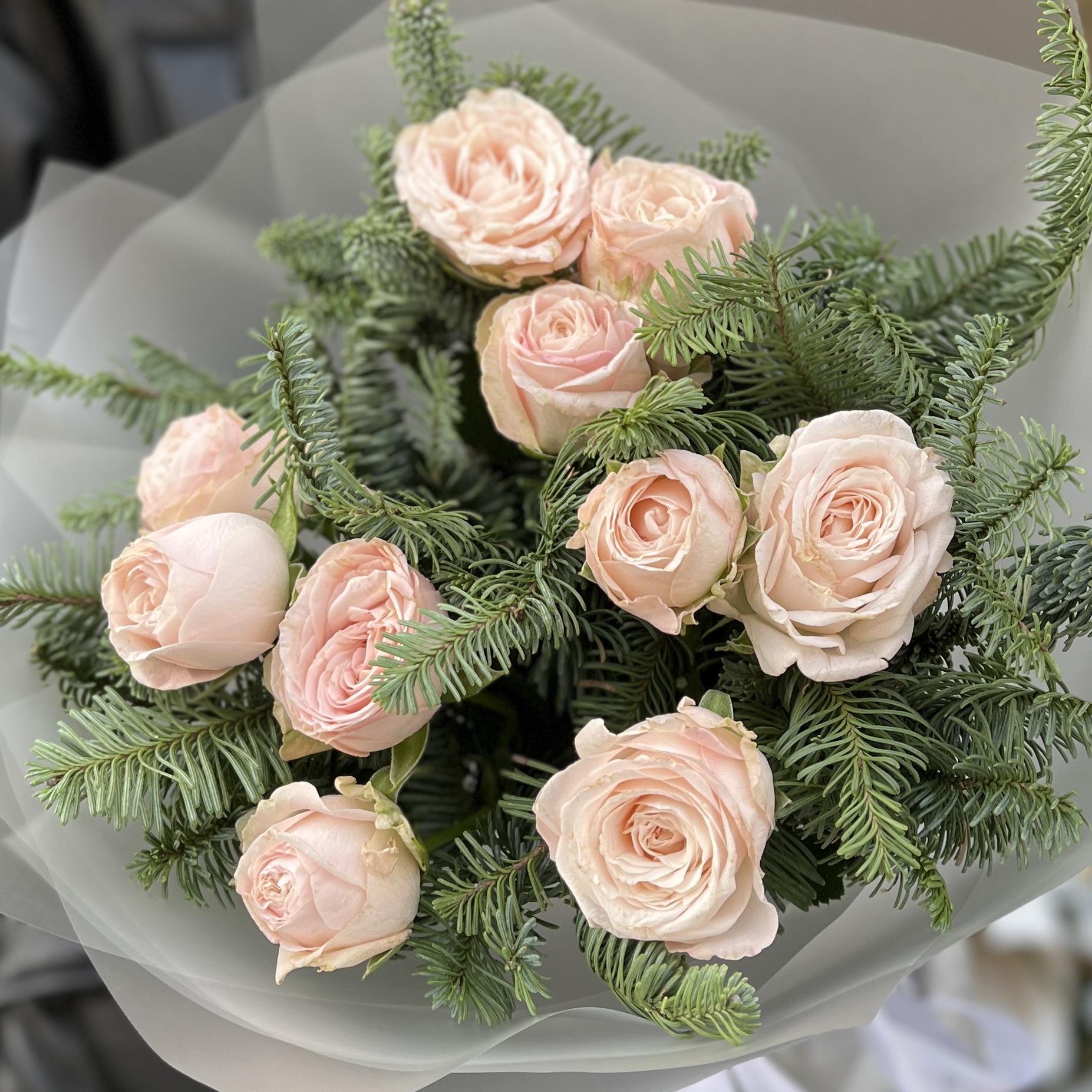 Зимний букет из 3 кустовых пионовидных роз Бомбастик