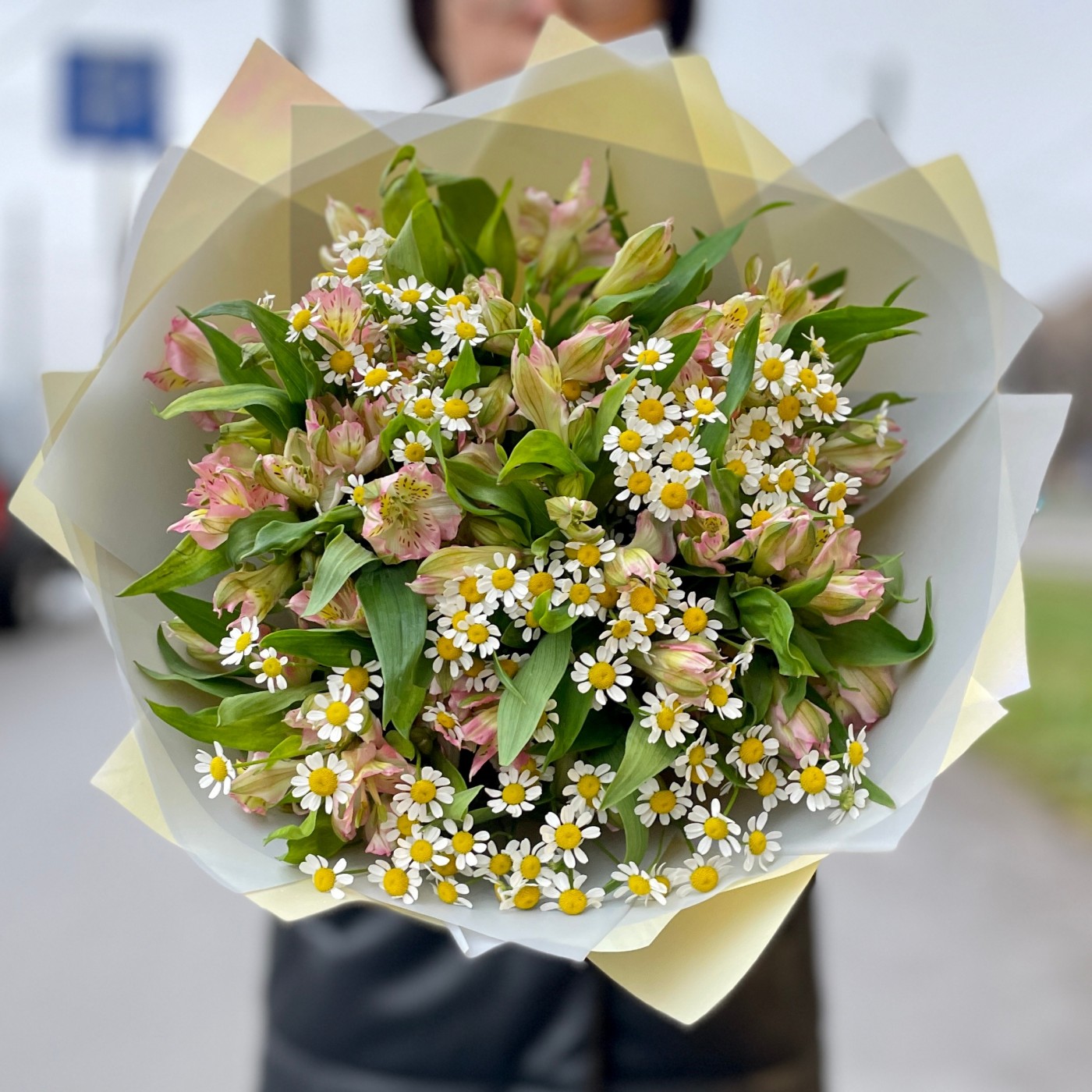 Альстромерии с ромашкой