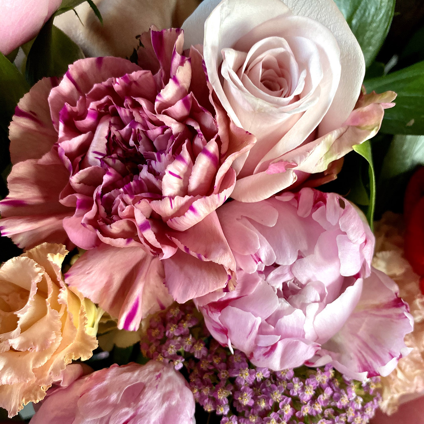 Розовая мечта