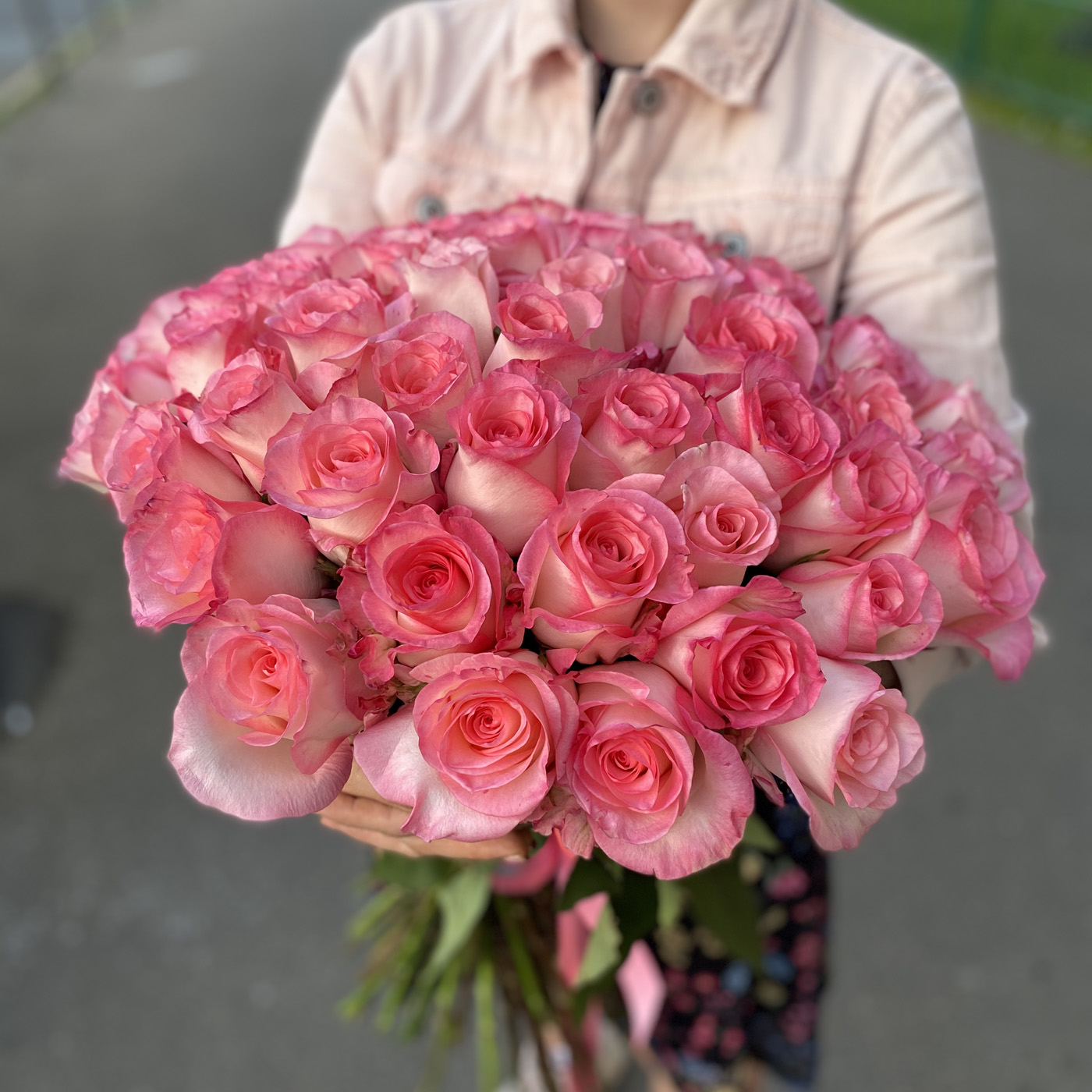 51 ароматная роза Булевард 60 см