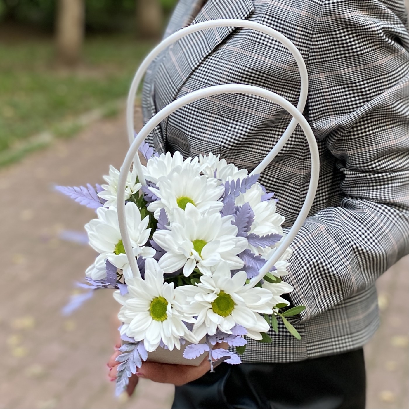 Белая кустовая хризантема Бакарди в сумочке