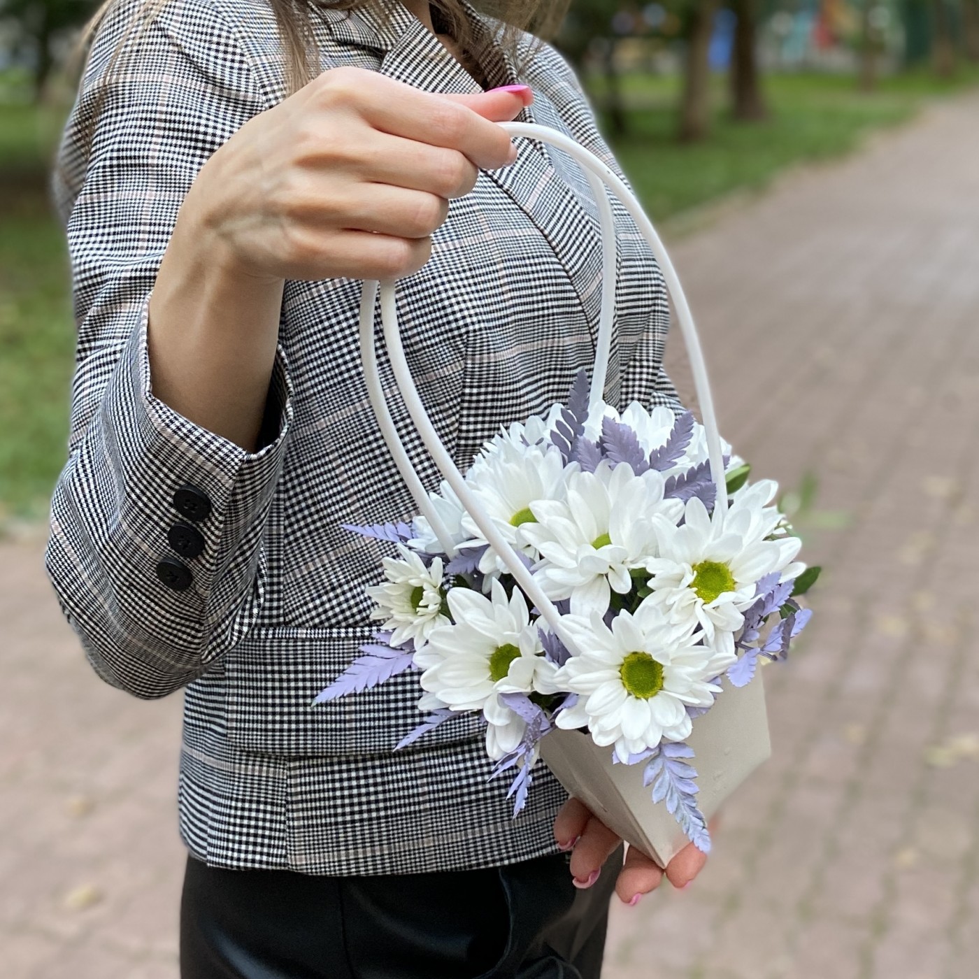 Белая кустовая хризантема Бакарди в сумочке