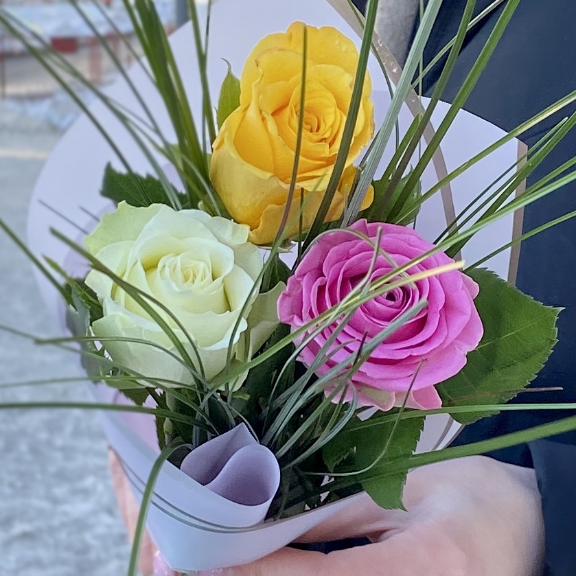 Разноцветные розы с берграссом