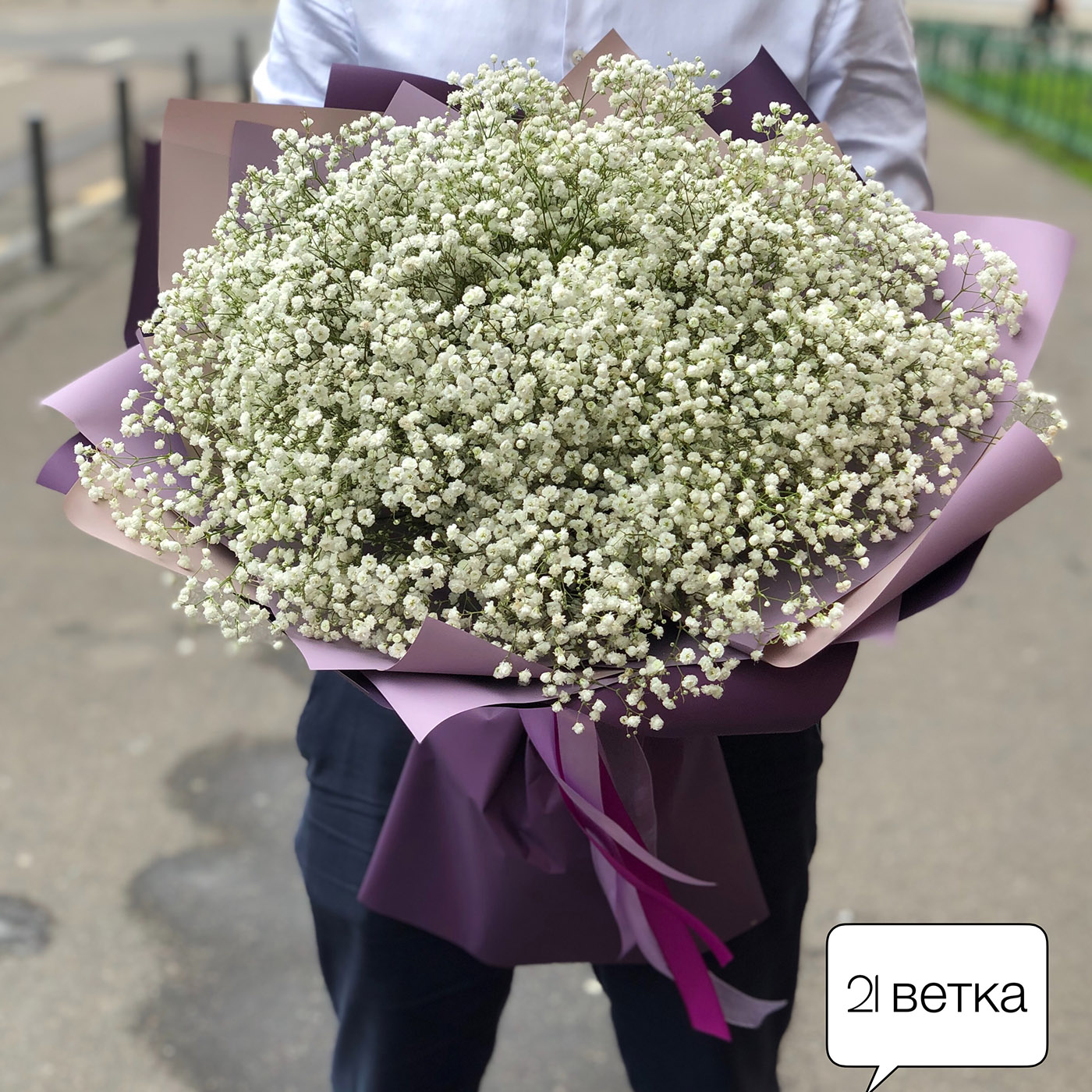 Гипсофила поштучно | купить недорого зелень в розницу | доставка и ...