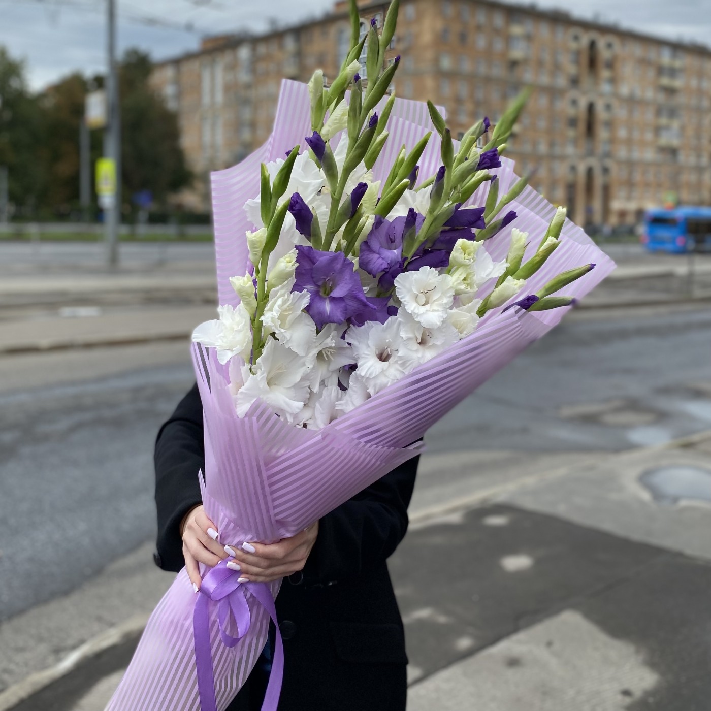 15 белых и фиолетовых гладиолусов