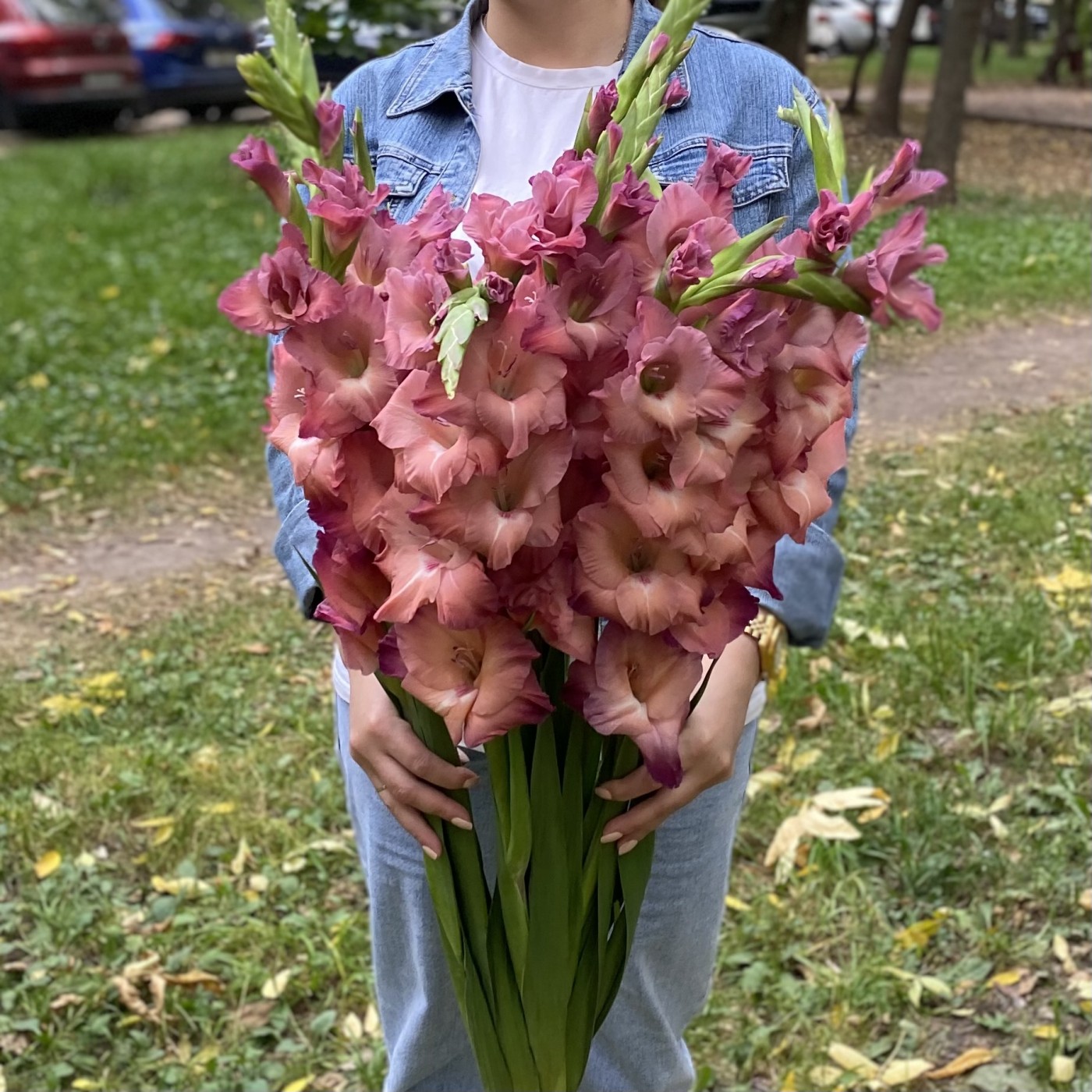 Гладиолус розово-фиолетовый