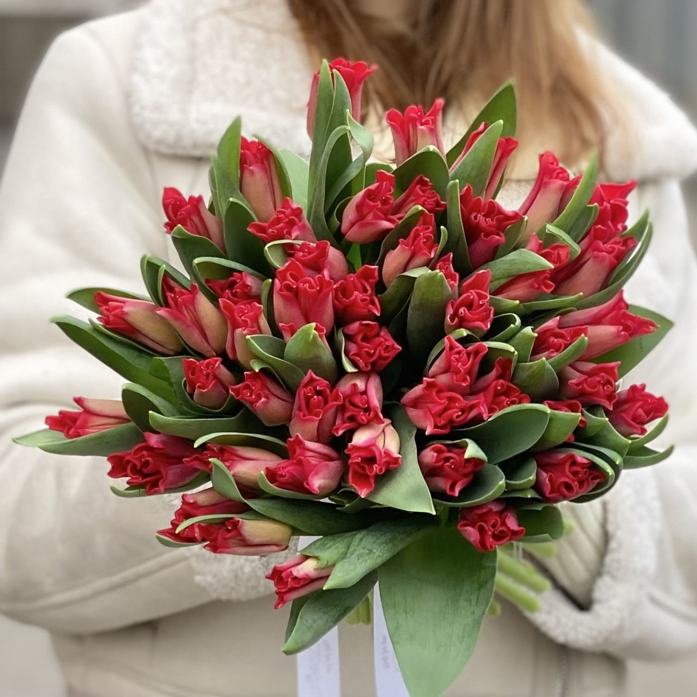 Красные тюльпаны Ред дресс