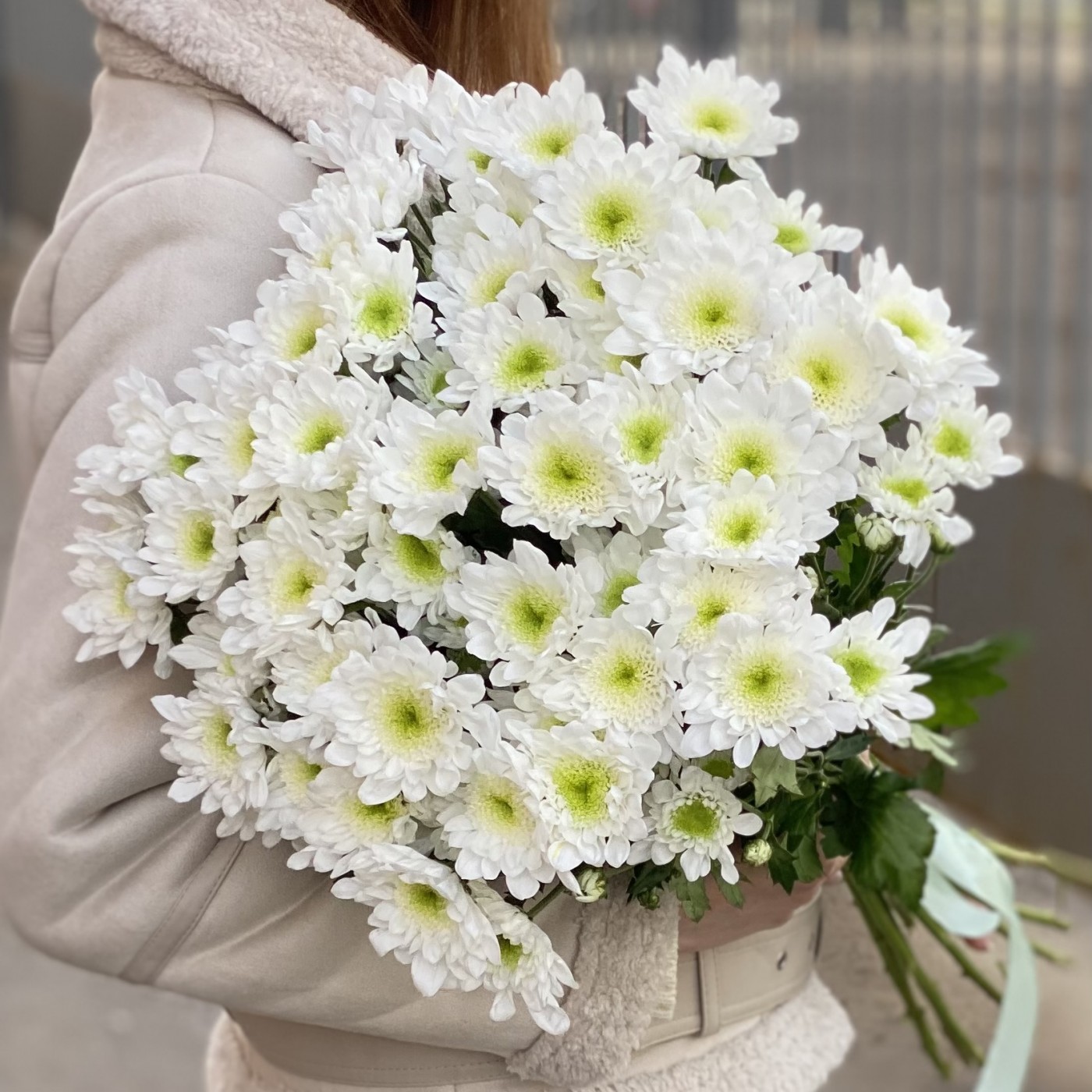 Белая кустовая хризантема Коммандер